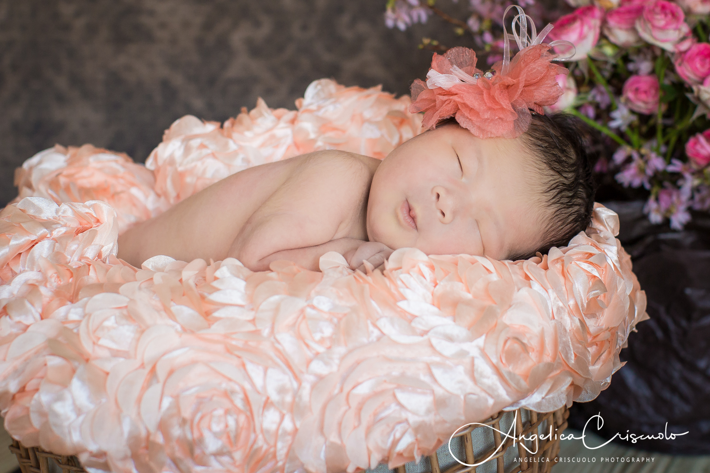 New York City Newborn Photography by Angelica Criscuolo Photography