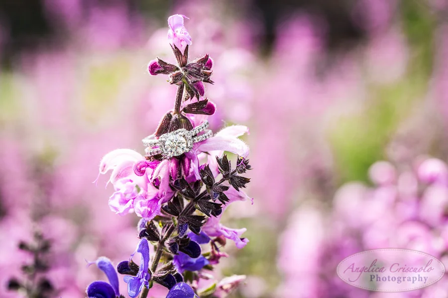 Ring Shot Lavender Field NYC_Engagement_Photography_TheHighLine_UniqueFunMural_SamanthaEugeneWEB-50