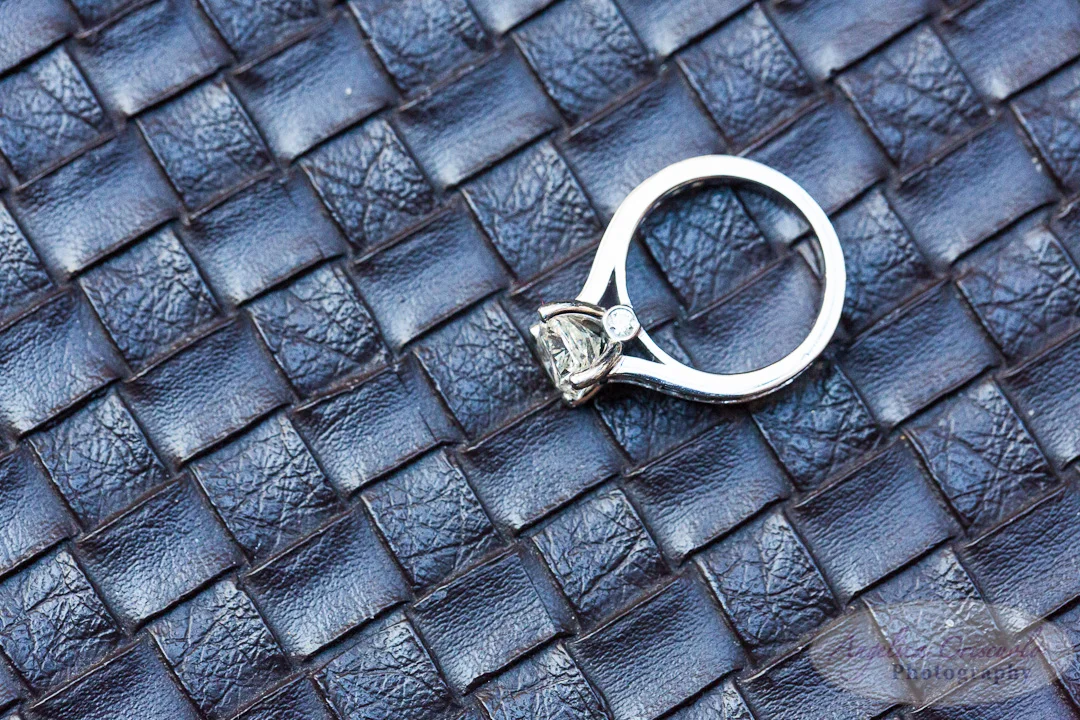 NYC_Wedding_Photo_Engagement_Rooftop_GrandCentral_Cab_Ideas-WEB-159.jpg