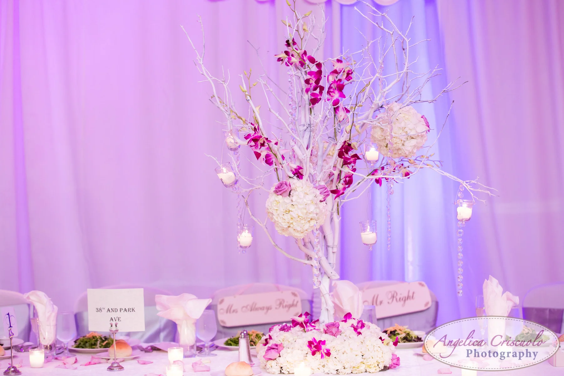 NYC_Wedding_Photography_Long_Island_Crest_Hollow_Country_Club_W-1342.jpg