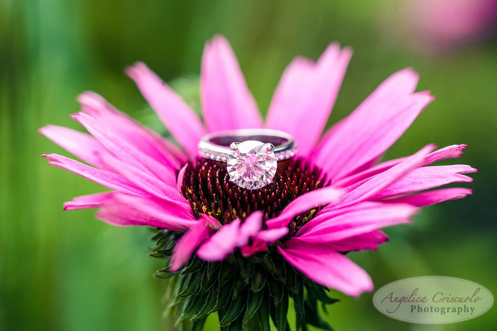 New_York_City_Wedding_Photographer_Subway_Cab_Ideas_TheHighLineW-43.jpg