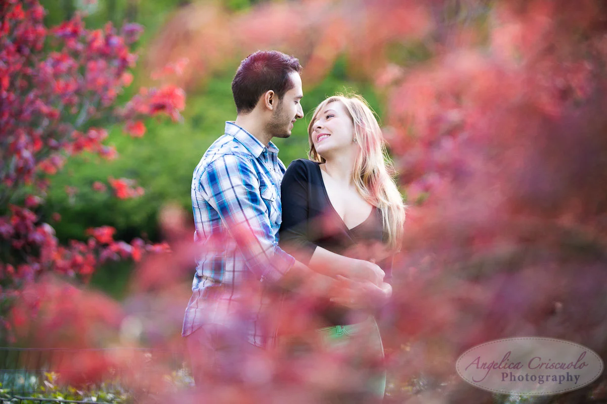 View More: http://angelicacriscuolophotography.pass.us/amberjonathan
