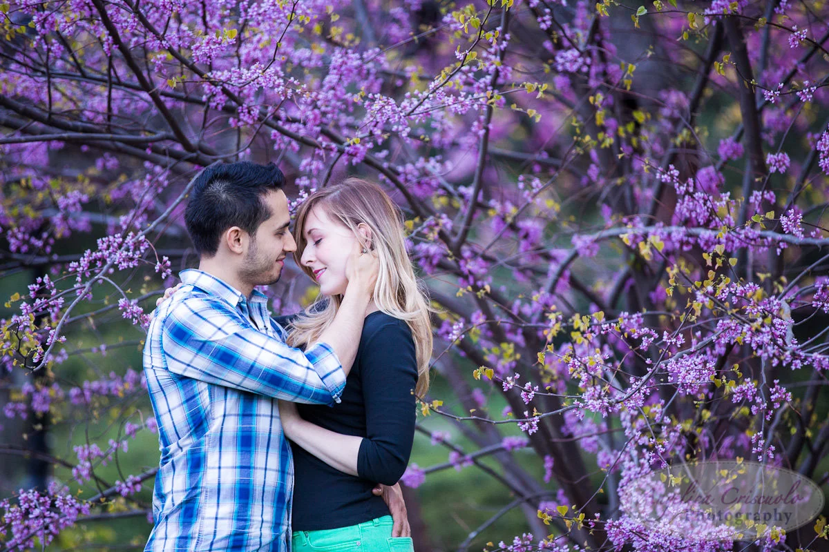 New York Engagement Photography Central Park Cherry Blossoms Spring