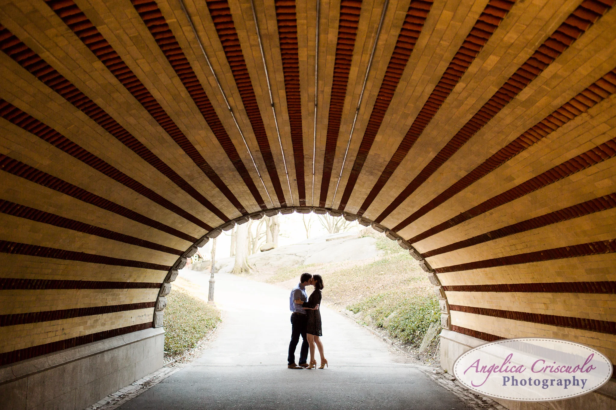 NYC Wedding Engagement photos in Central Park Ideas tunnels and silhouettes