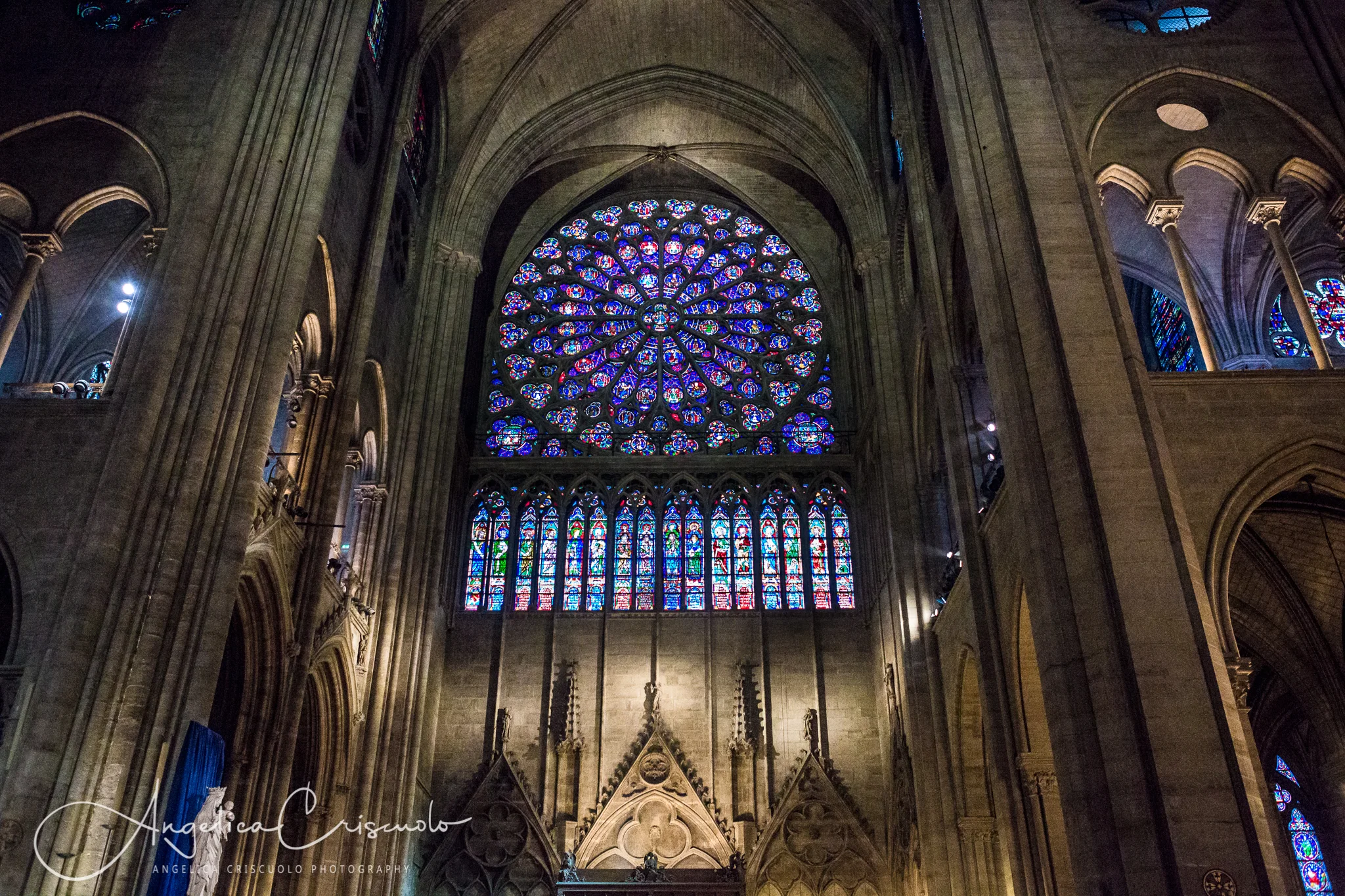 NYC to Paris © Angelica Criscuolo Photography | All Rights Reserved | www.AngelicaCriscuoloPhotography.com | www.facebook.com/AngelicaCriscuoloPhotography