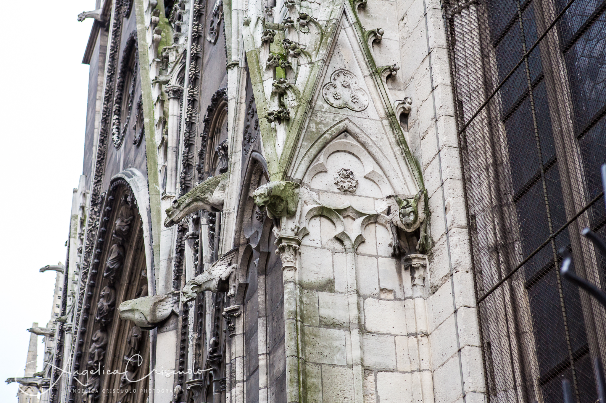 NYC to Paris © Angelica Criscuolo Photography | All Rights Reserved | www.AngelicaCriscuoloPhotography.com | www.facebook.com/AngelicaCriscuoloPhotography