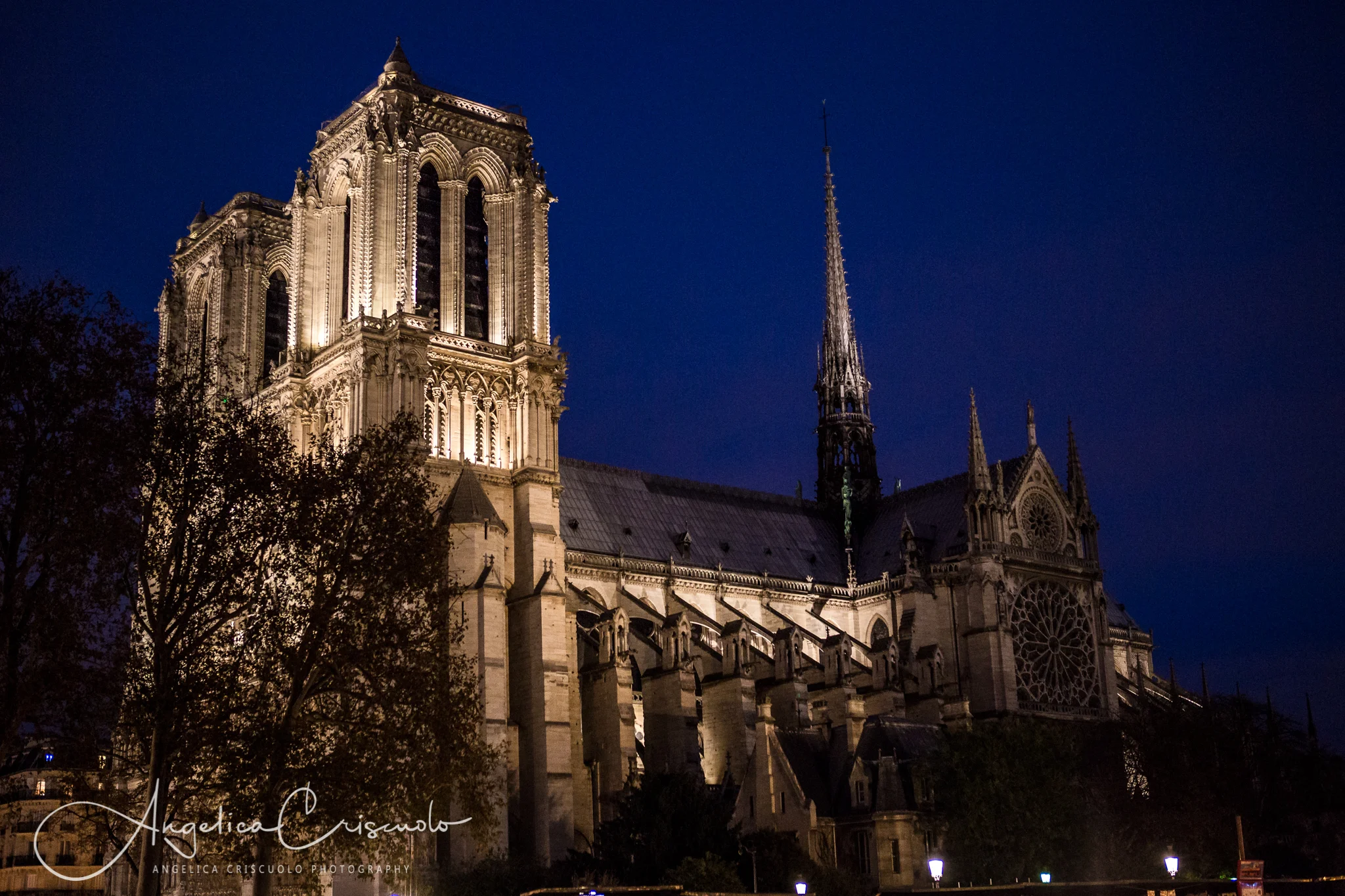 NYC to Paris © Angelica Criscuolo Photography | All Rights Reserved | www.AngelicaCriscuoloPhotography.com | www.facebook.com/AngelicaCriscuoloPhotography