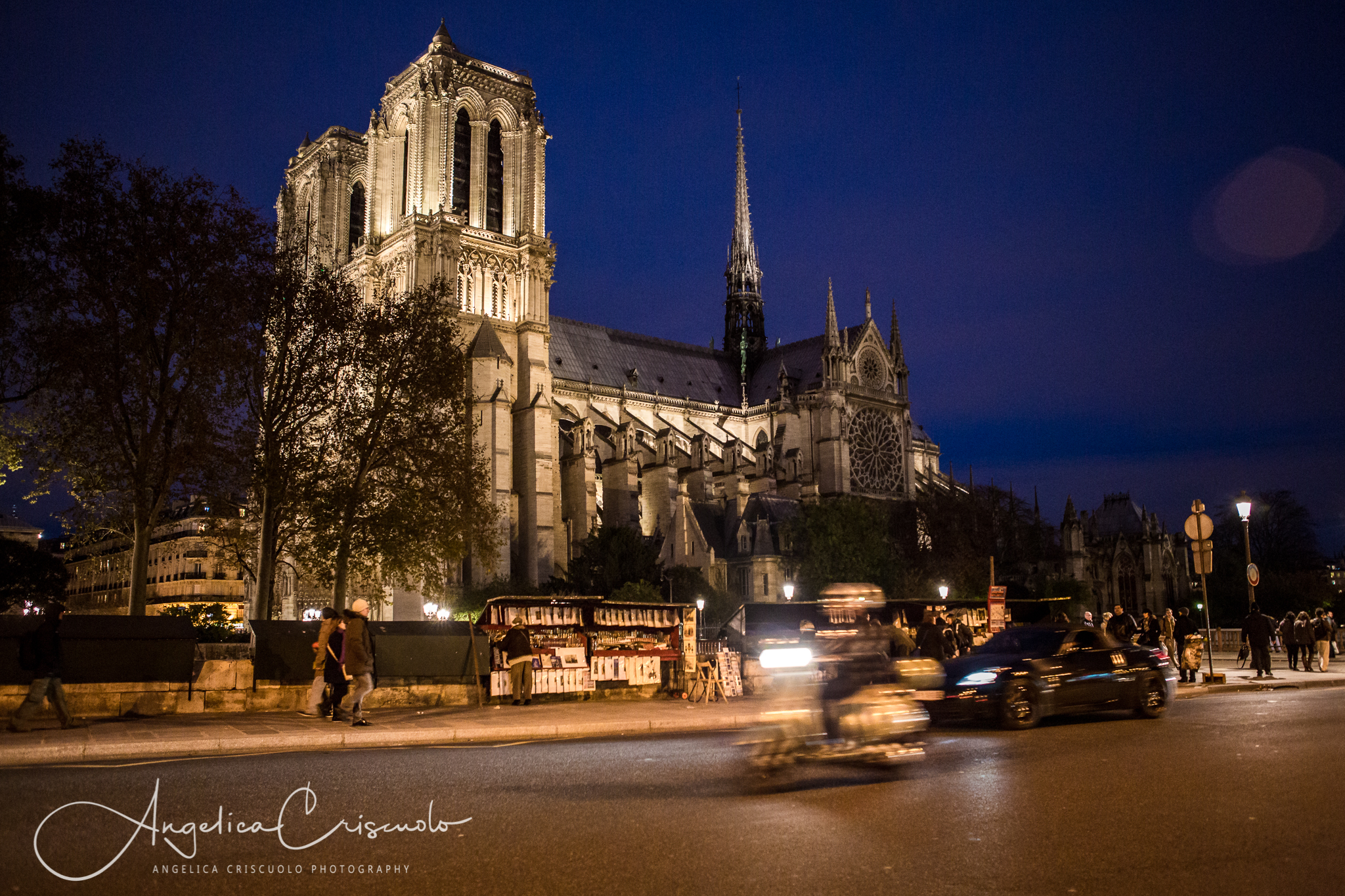 NYC to Paris © Angelica Criscuolo Photography | All Rights Reserved | www.AngelicaCriscuoloPhotography.com | www.facebook.com/AngelicaCriscuoloPhotography