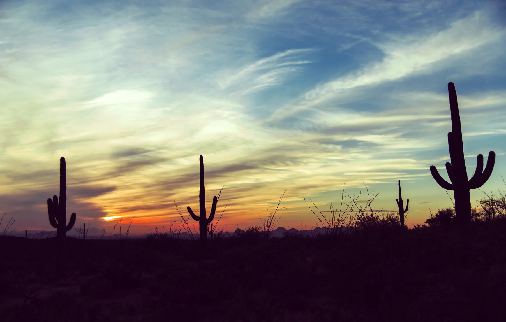 iStock_38980596_MEDIUM.jpg