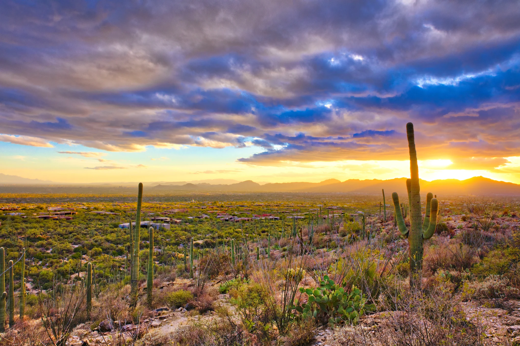 iStock-637099072.jpg