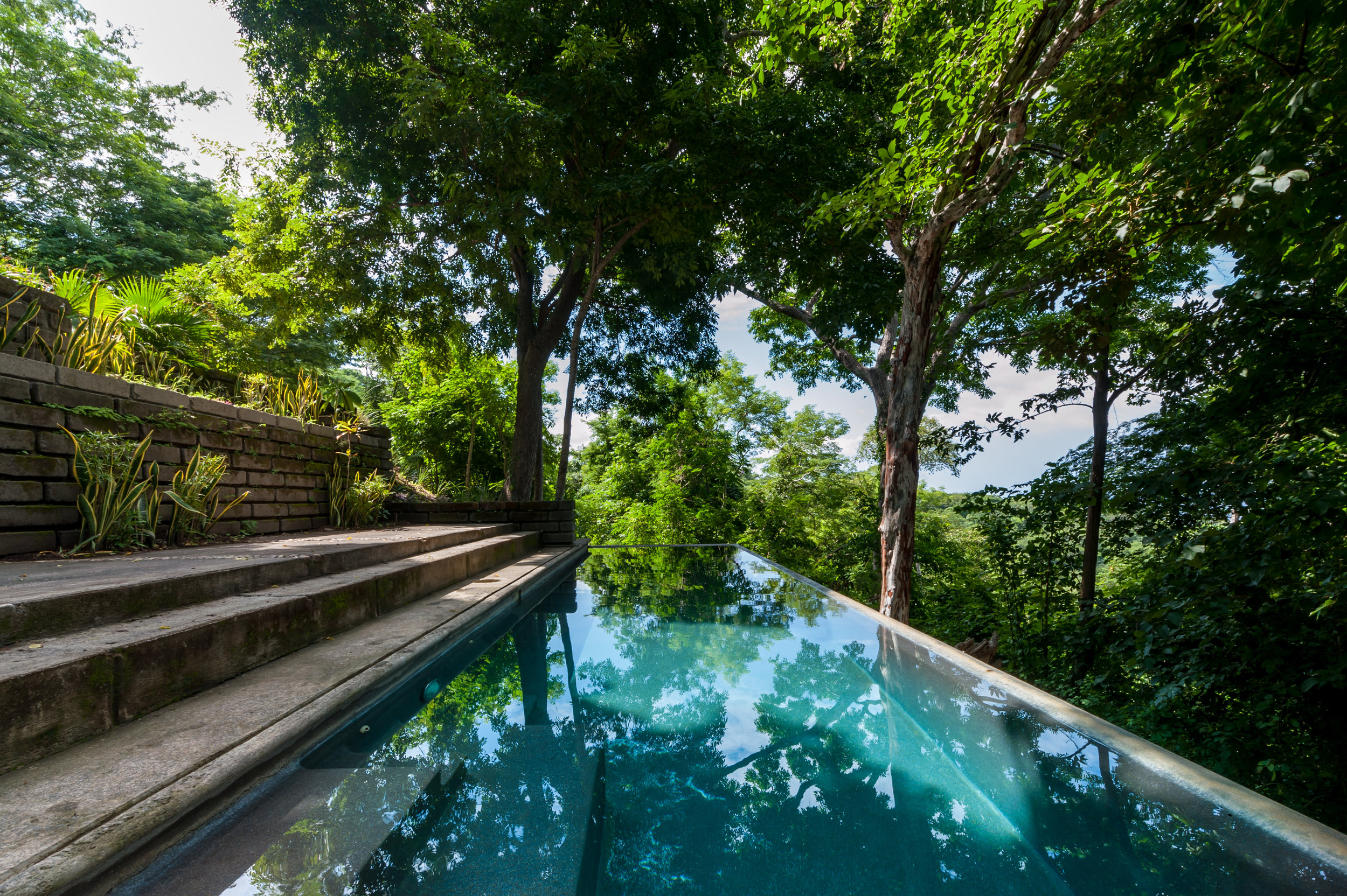 Shared pool in the trees.