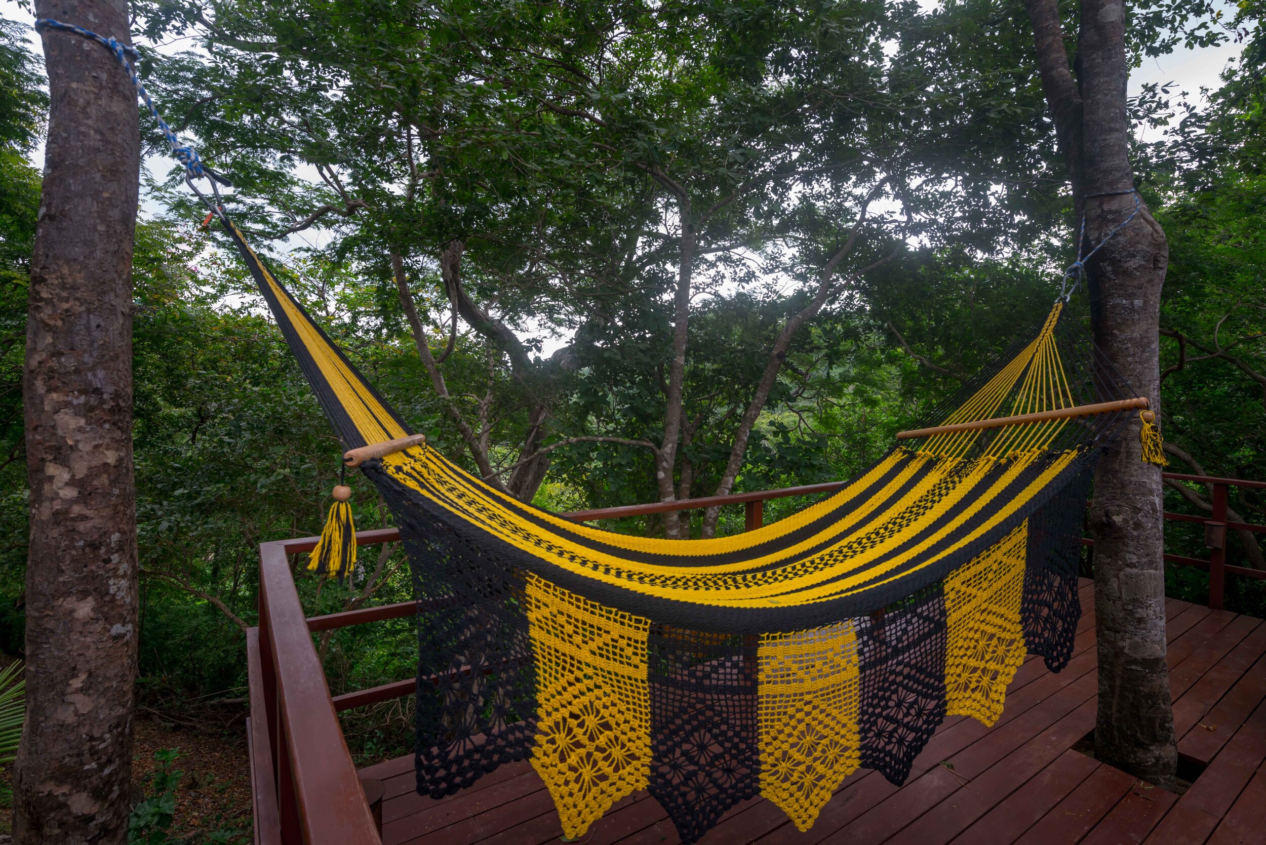 Double Hammock