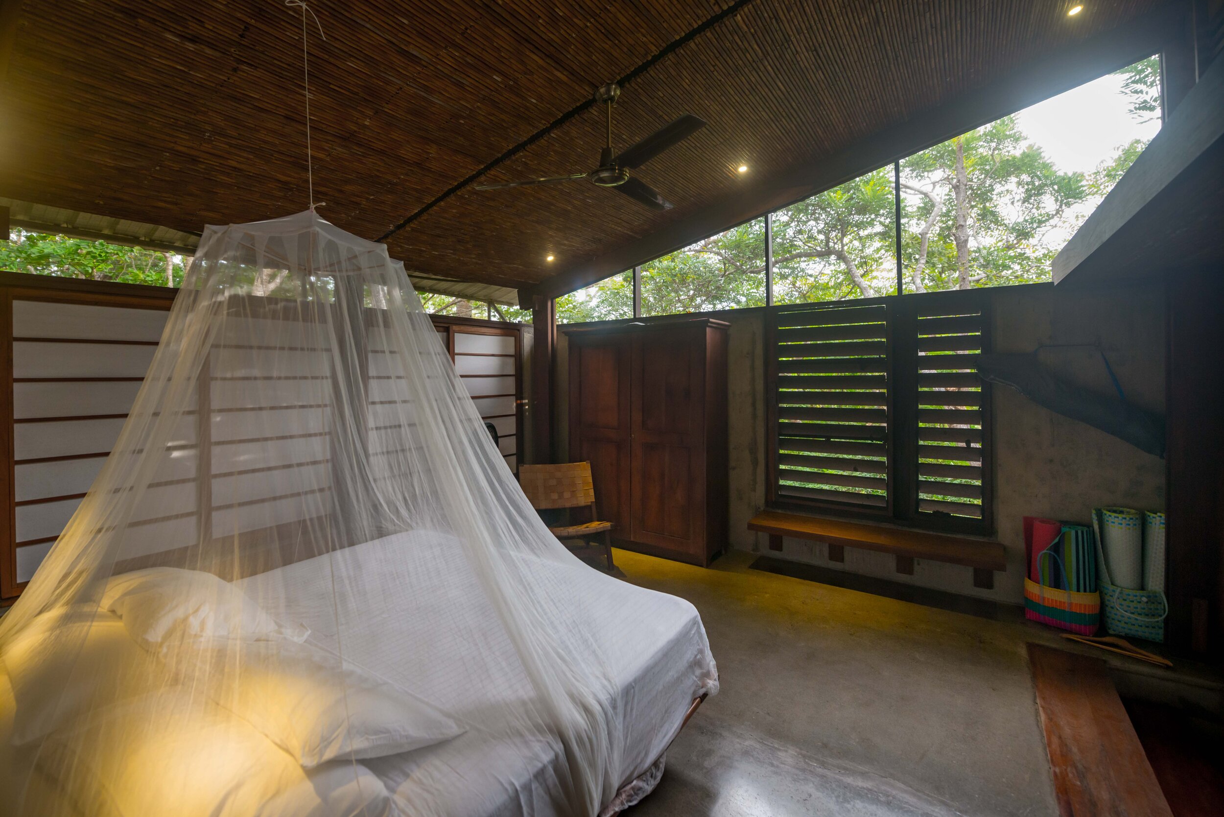 View to jungle from bedroom