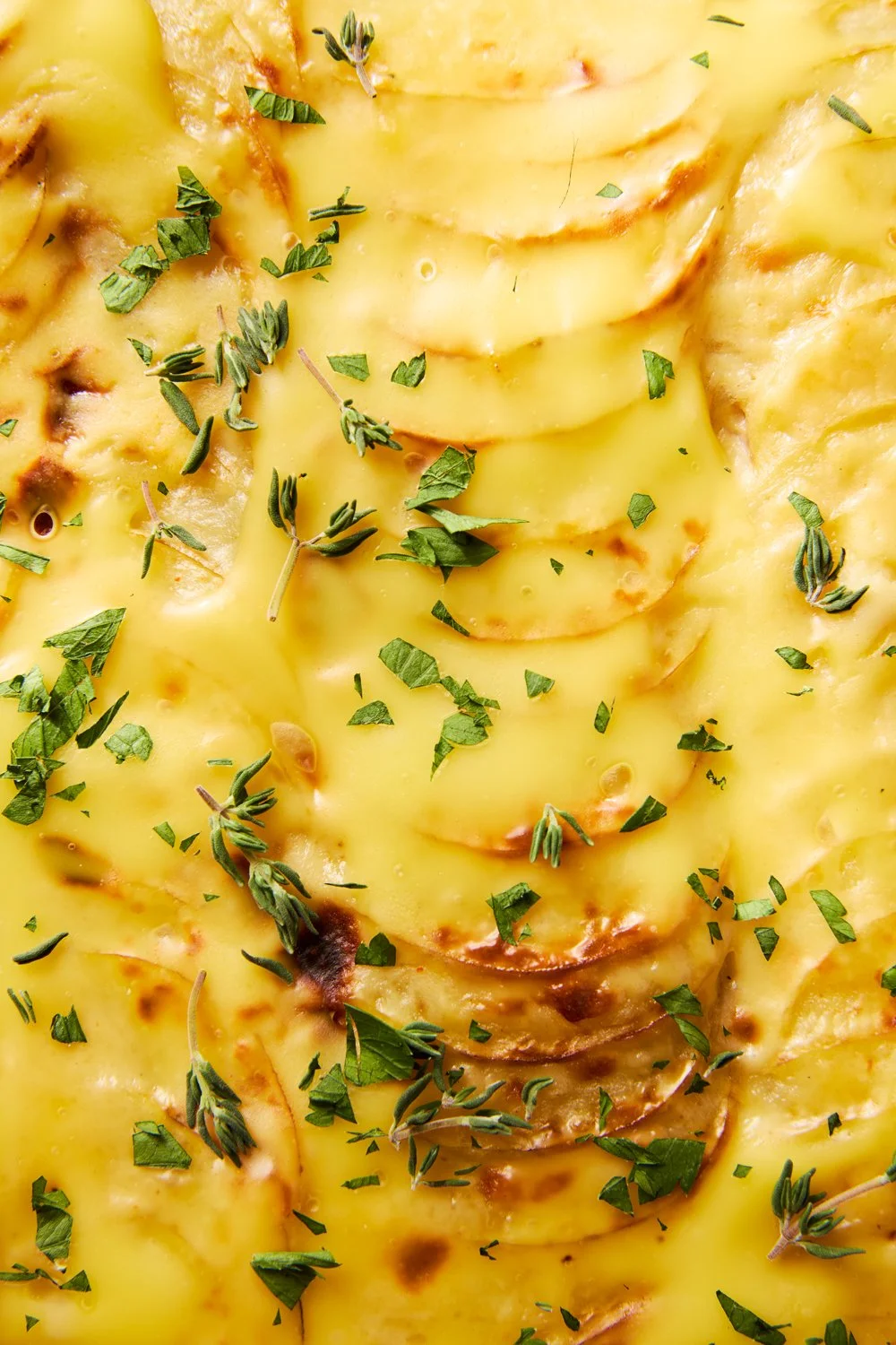 02_AmericanaCookOut_073.jpg