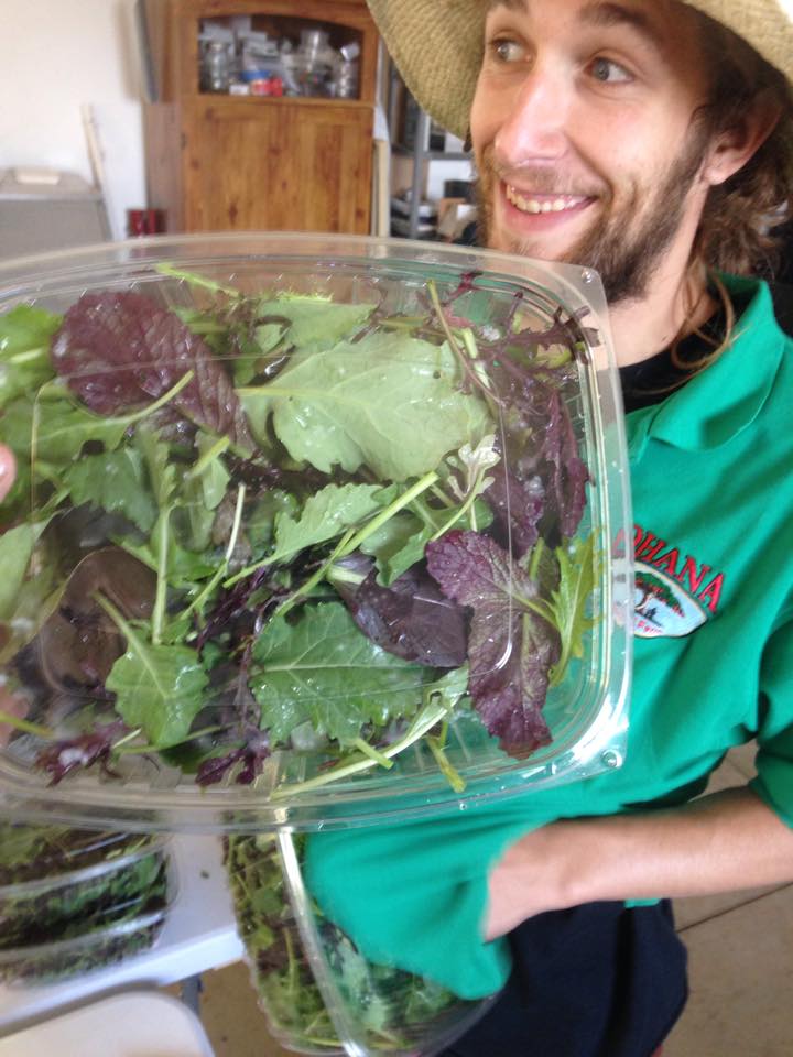 saladmix.jpg