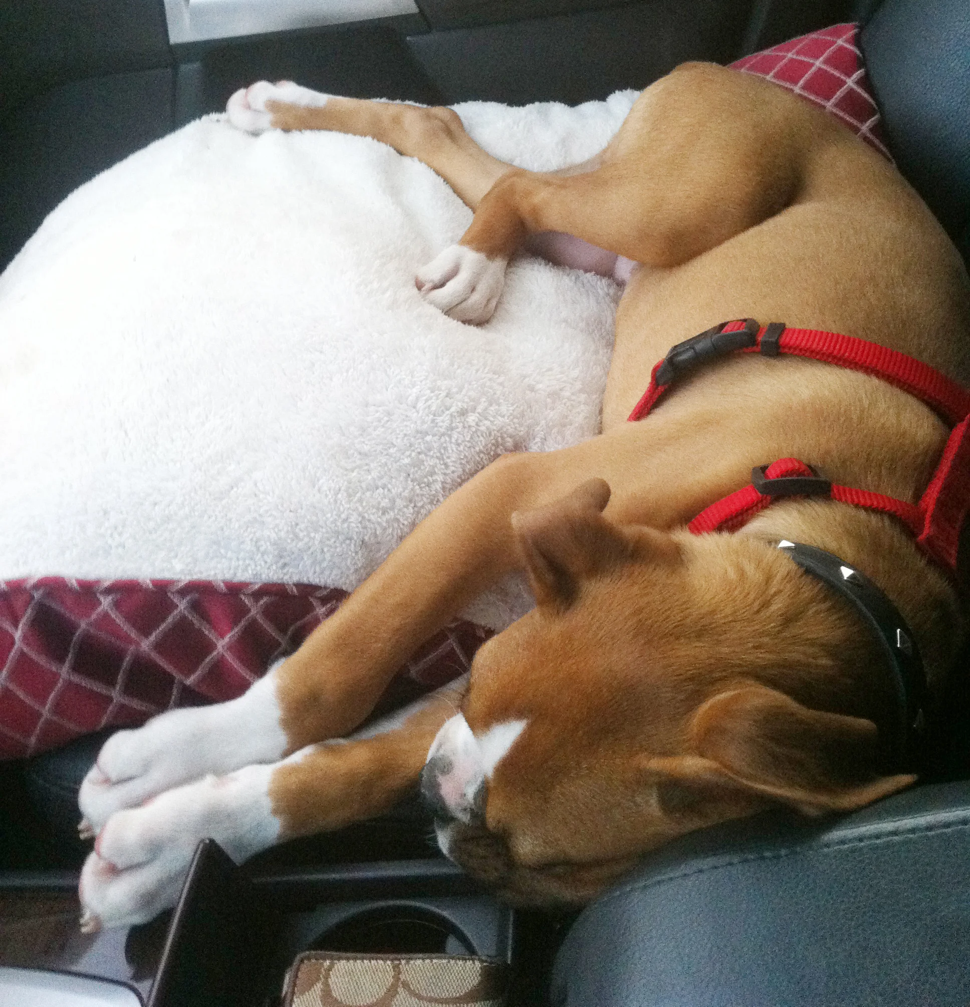 Car_Ride.jpg