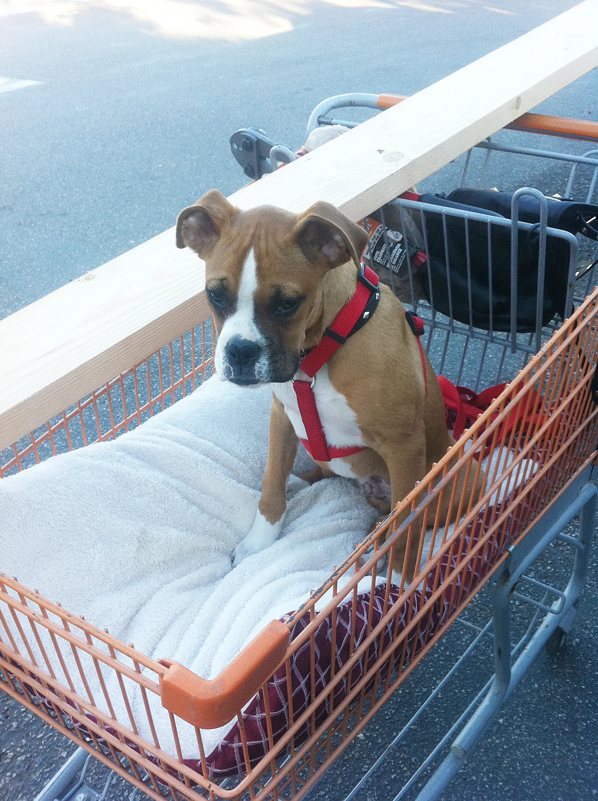 Home_Depot.jpg