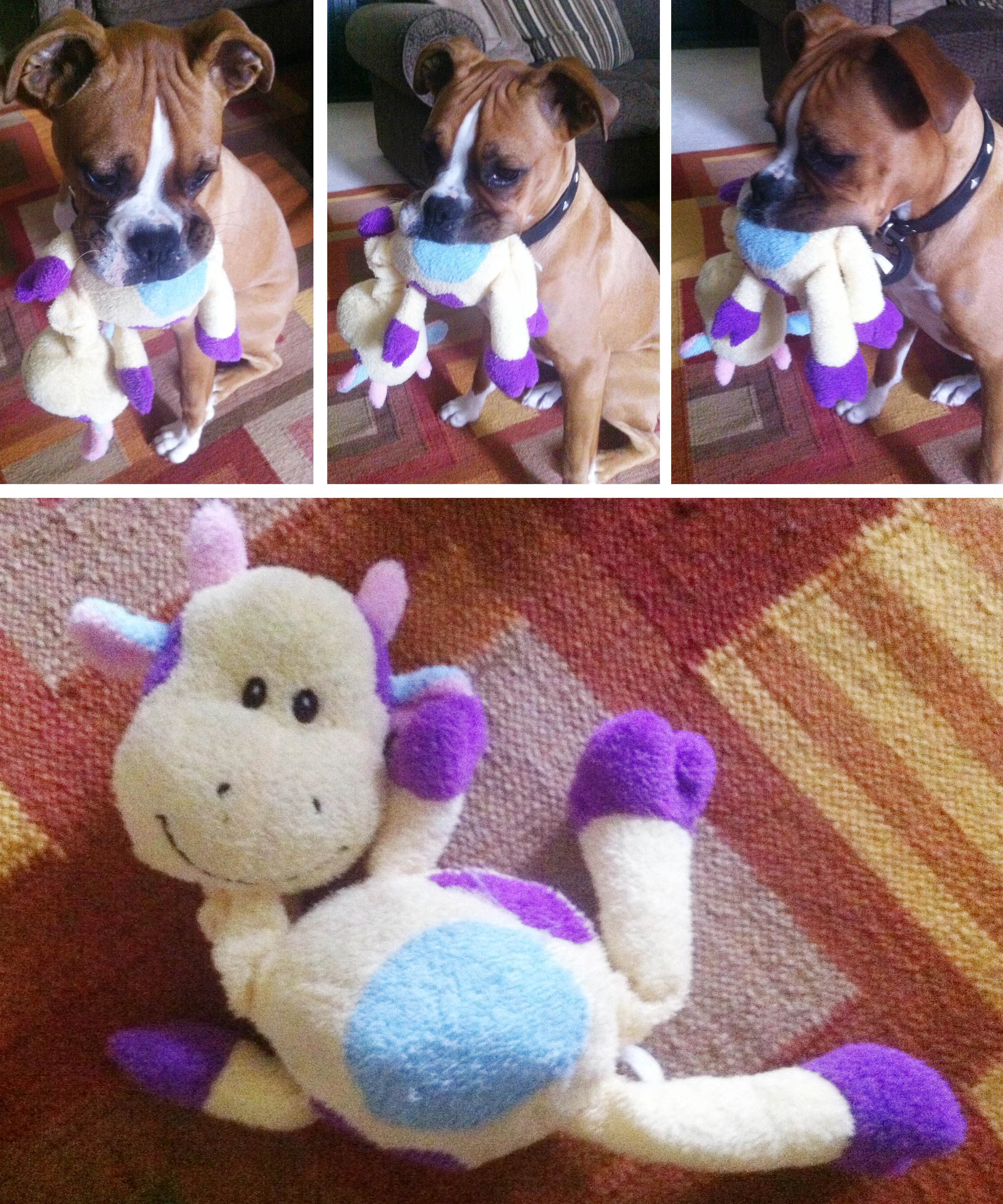 New_Toy.jpg