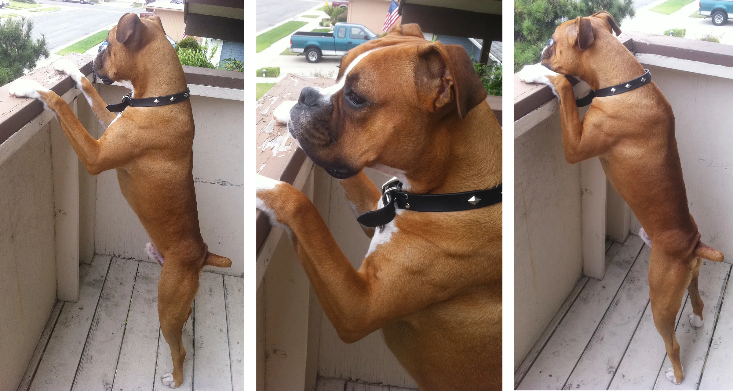 neighborhood_watch.jpg