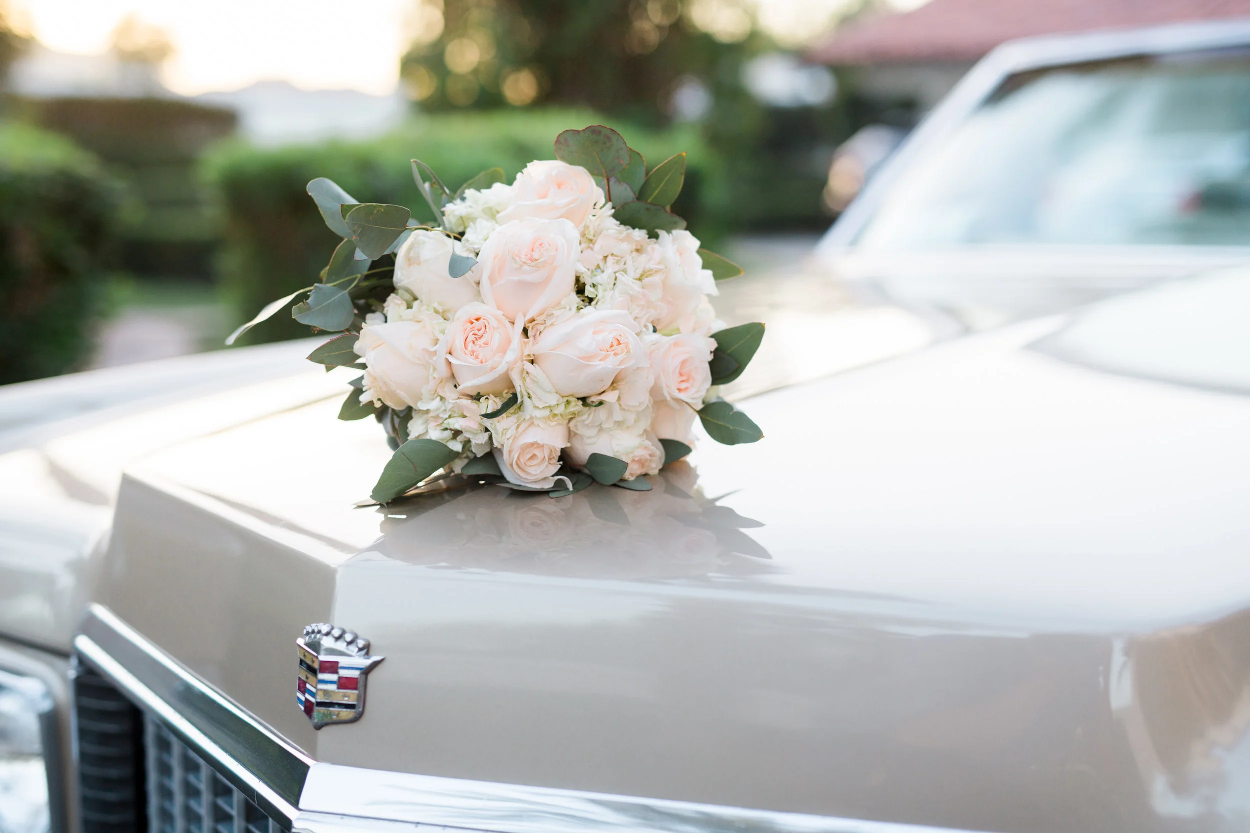 Courtney and Patrick-494.jpg