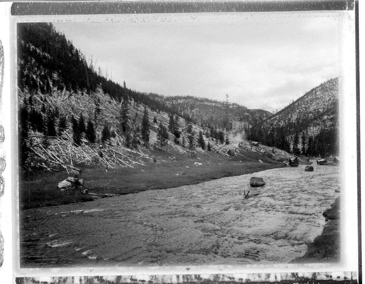 holt_polaroid_002.jpeg