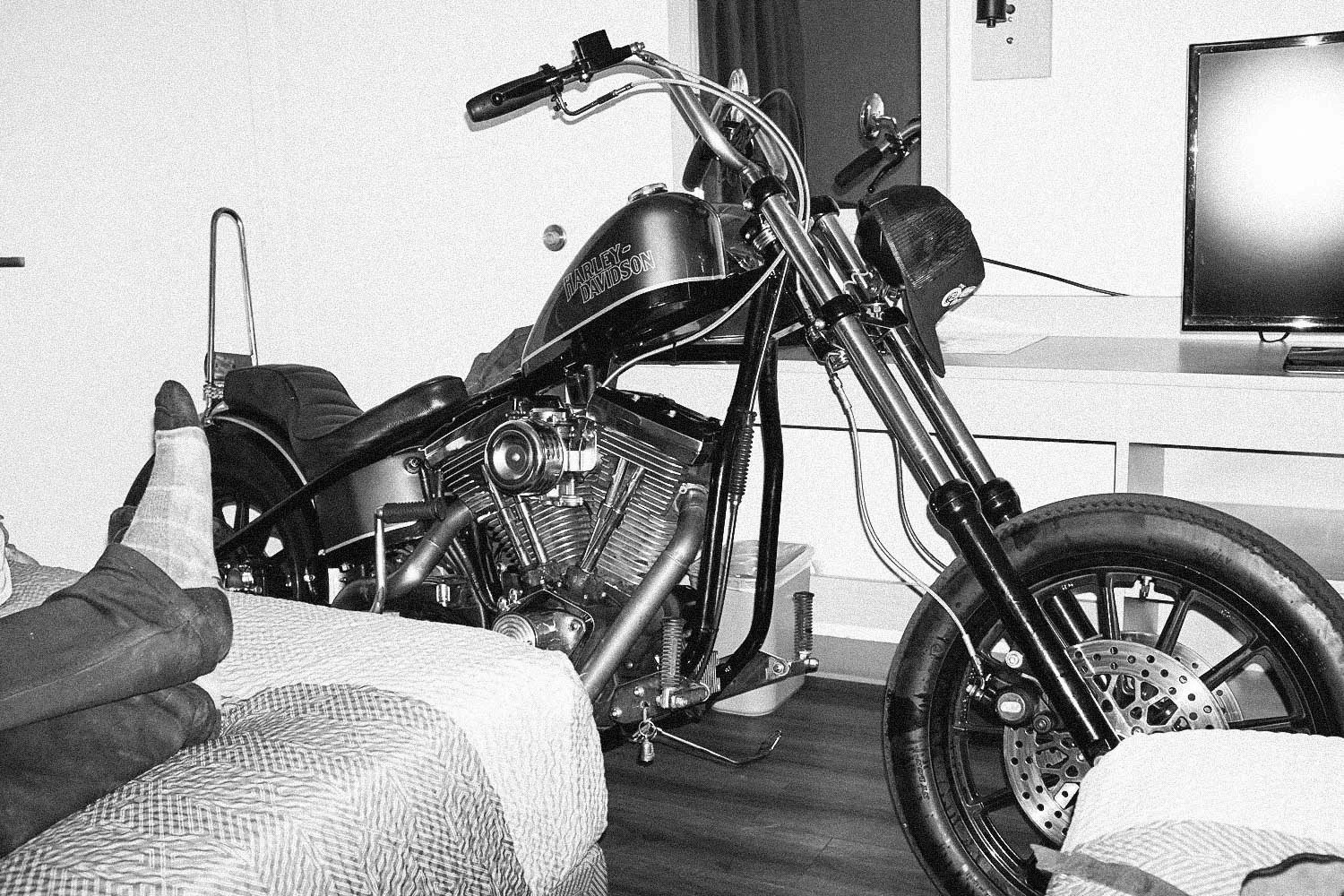 holt_170606_8kAmerican_0295.jpg