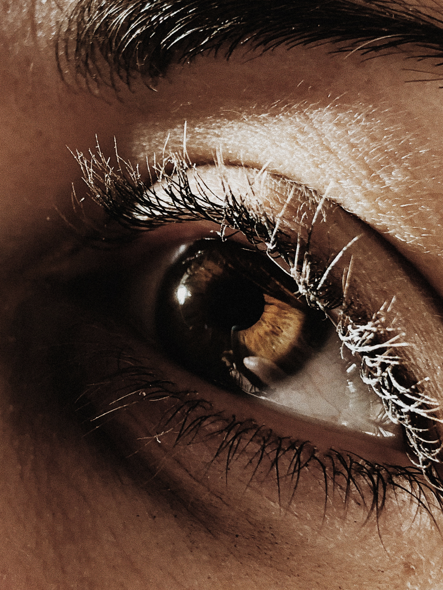 holt_eye.jpg