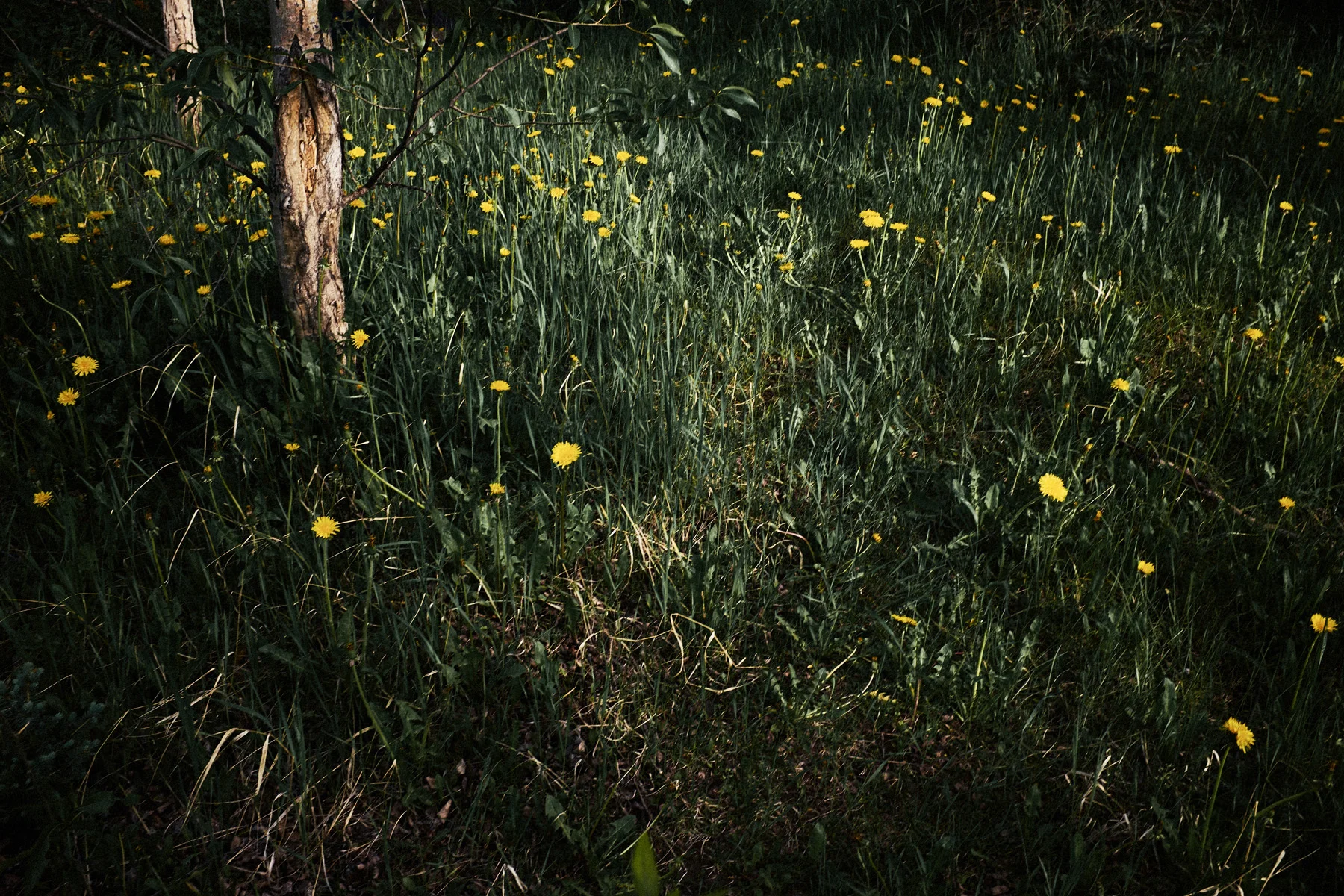 holt_170617_8kUSMotoTrip_129_e.jpg