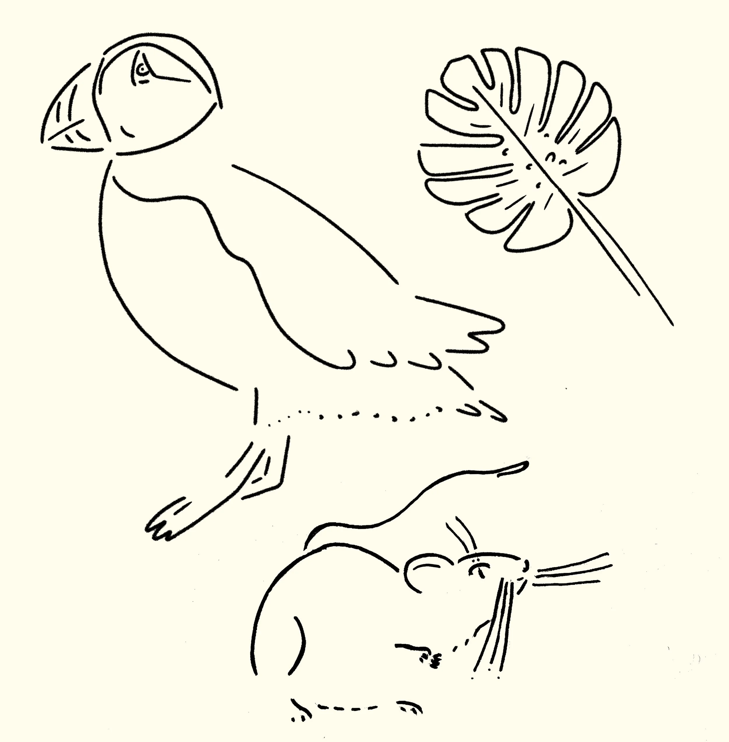 flash_sheet_animals.jpg