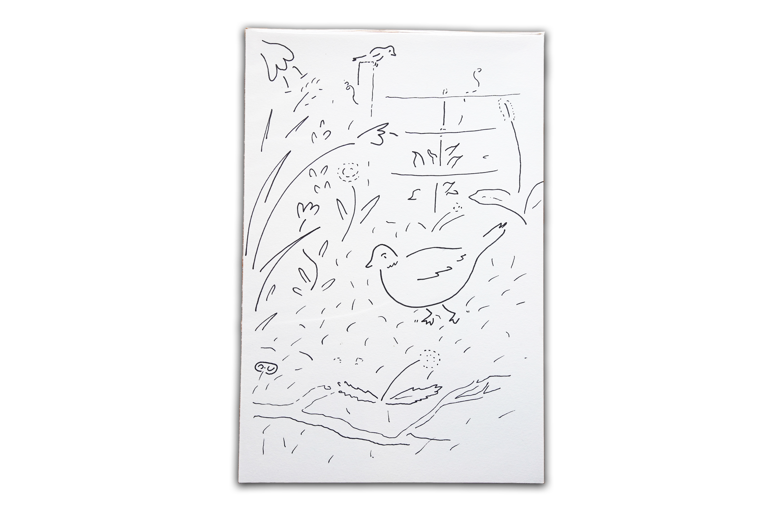 bird copy.png
