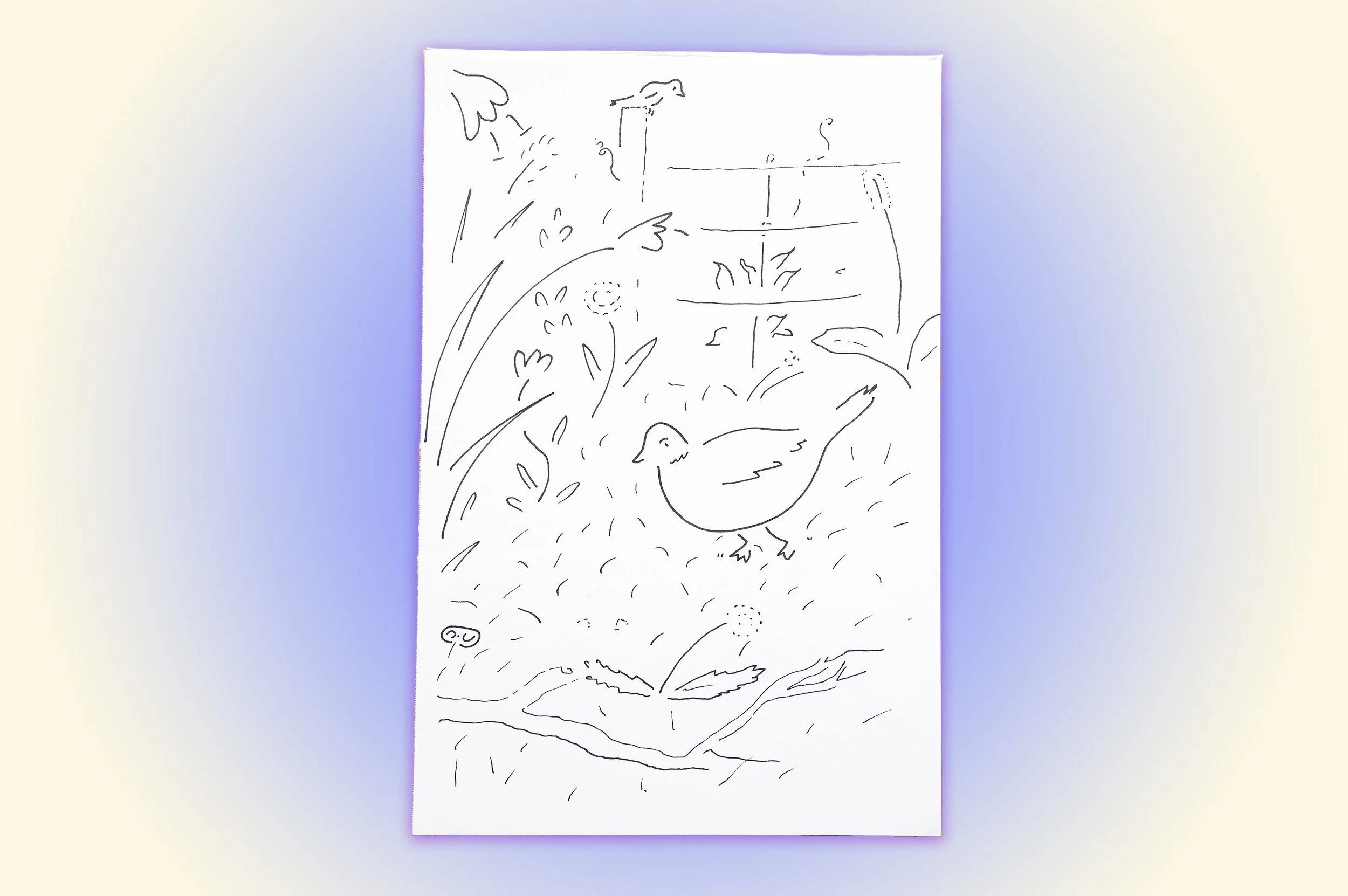 bird copy.jpg