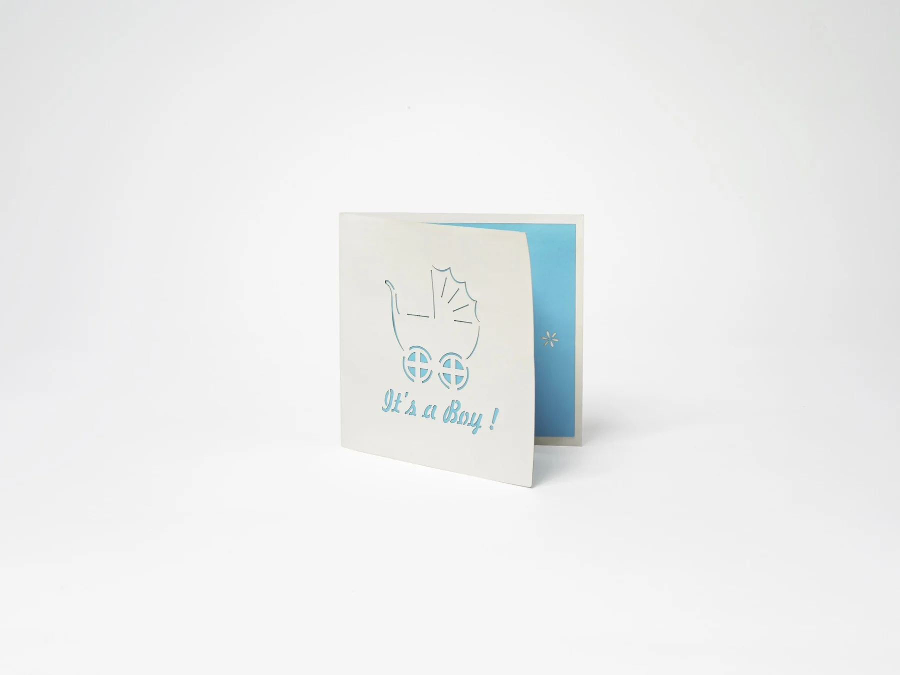 Its a boy zu.jpeg