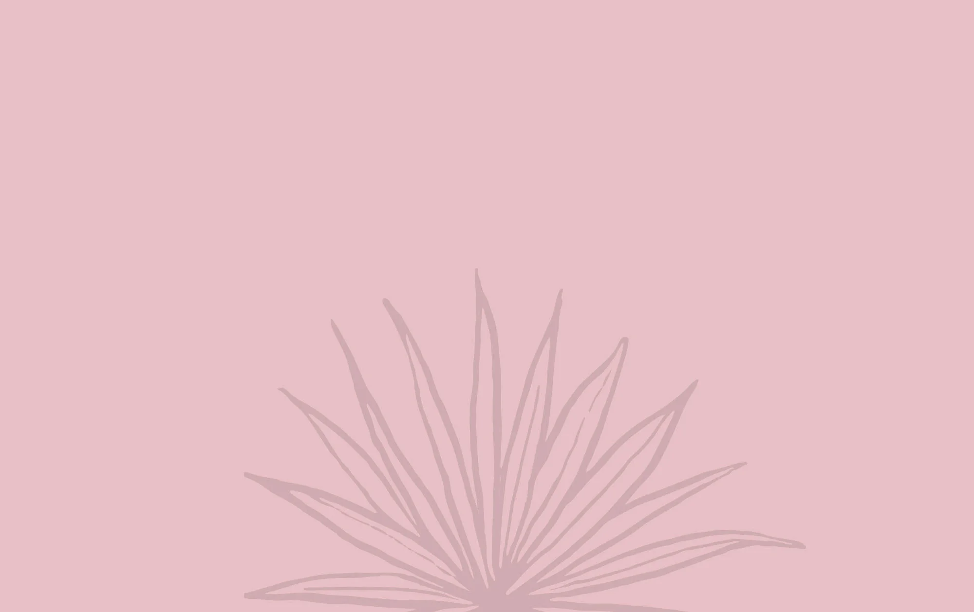 Pink-Wall.jpg