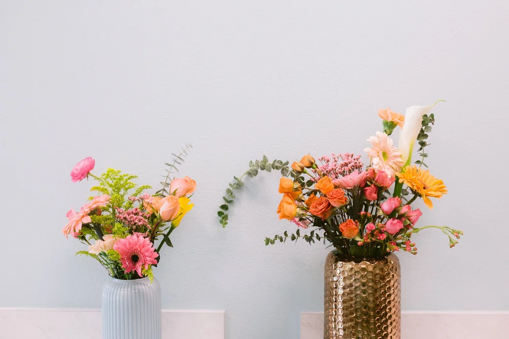 Manatee Gynecology: For Every Woman's Story