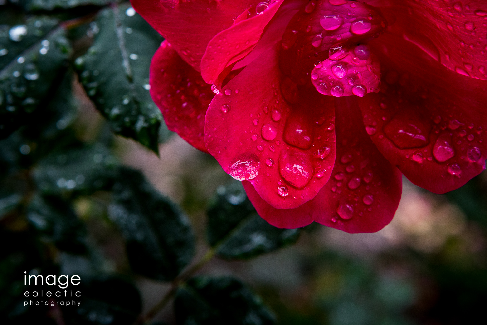 Patterns in the Drops