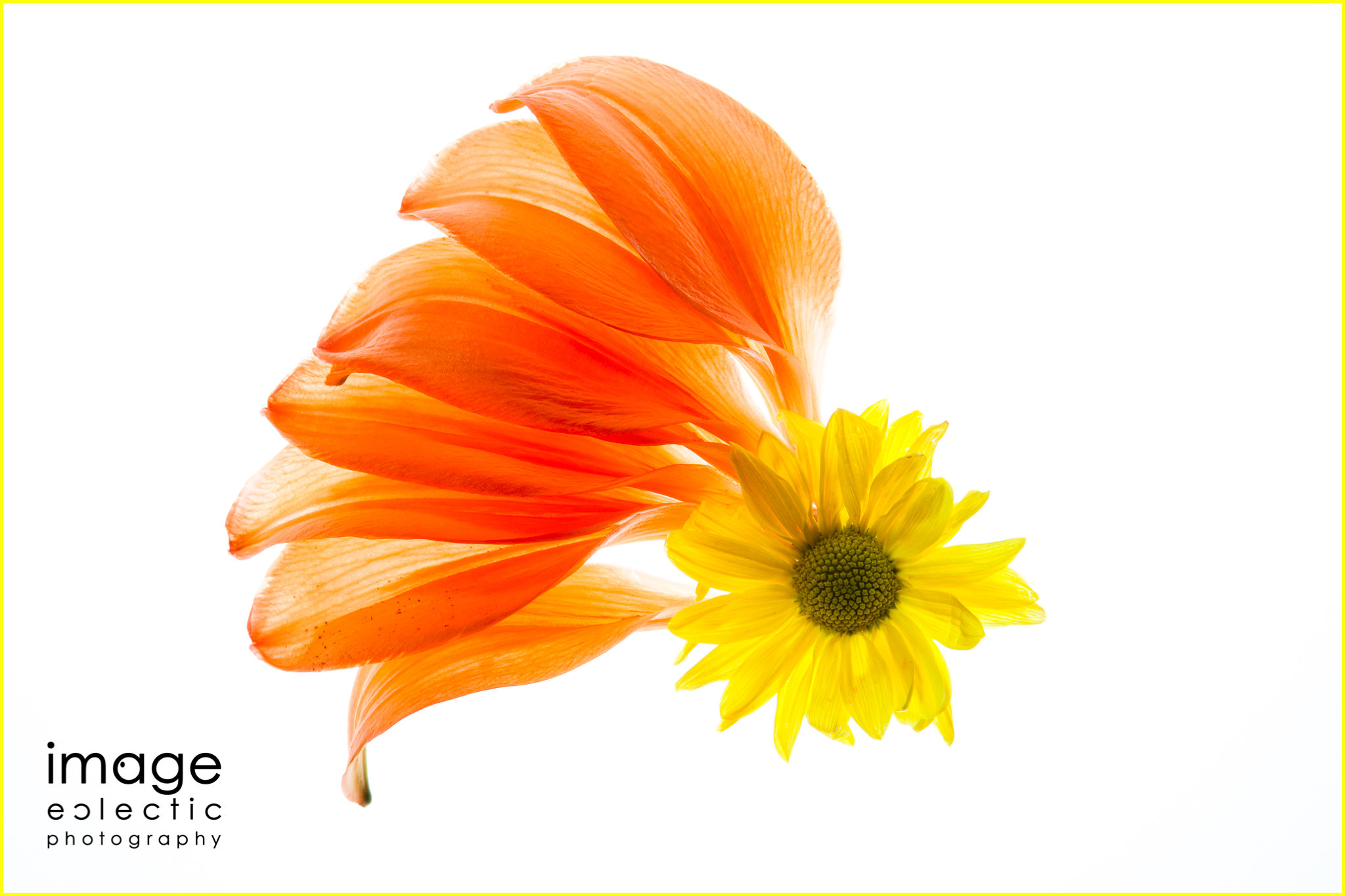 Headdress