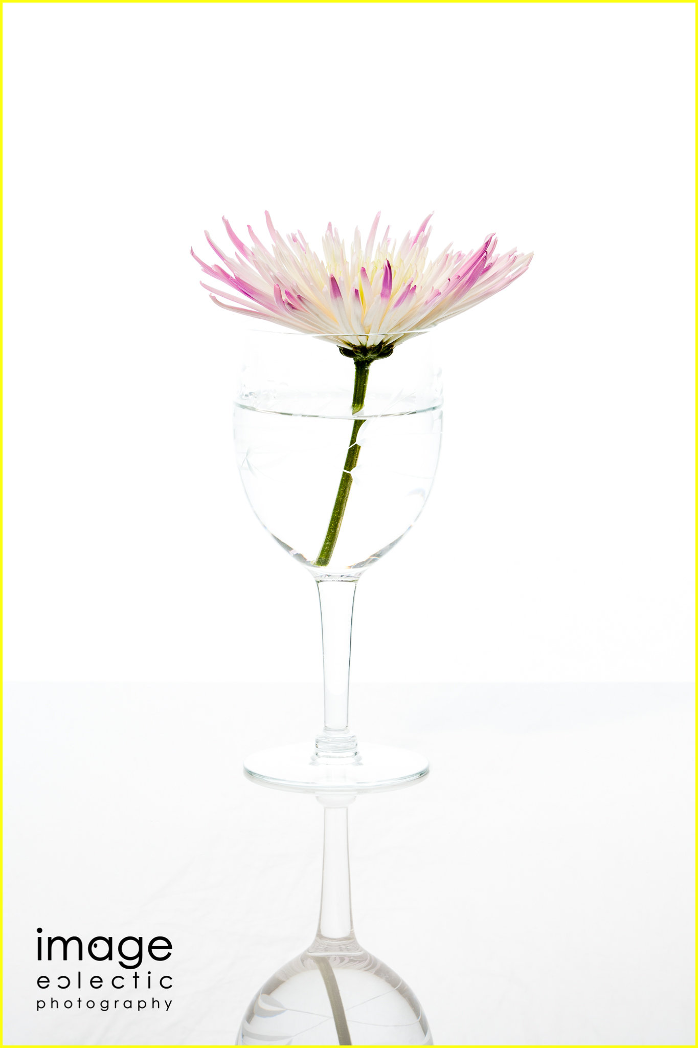 Flower Glass