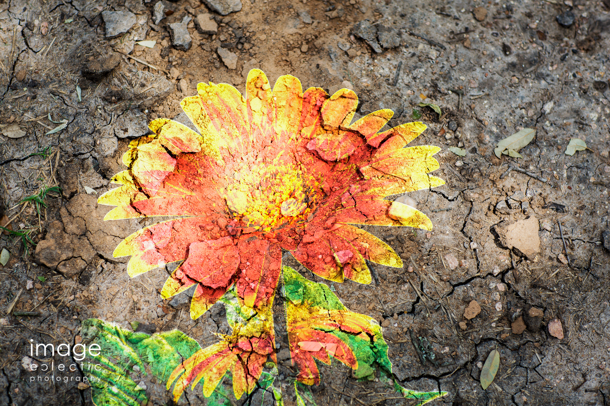 Gerbera Stencil