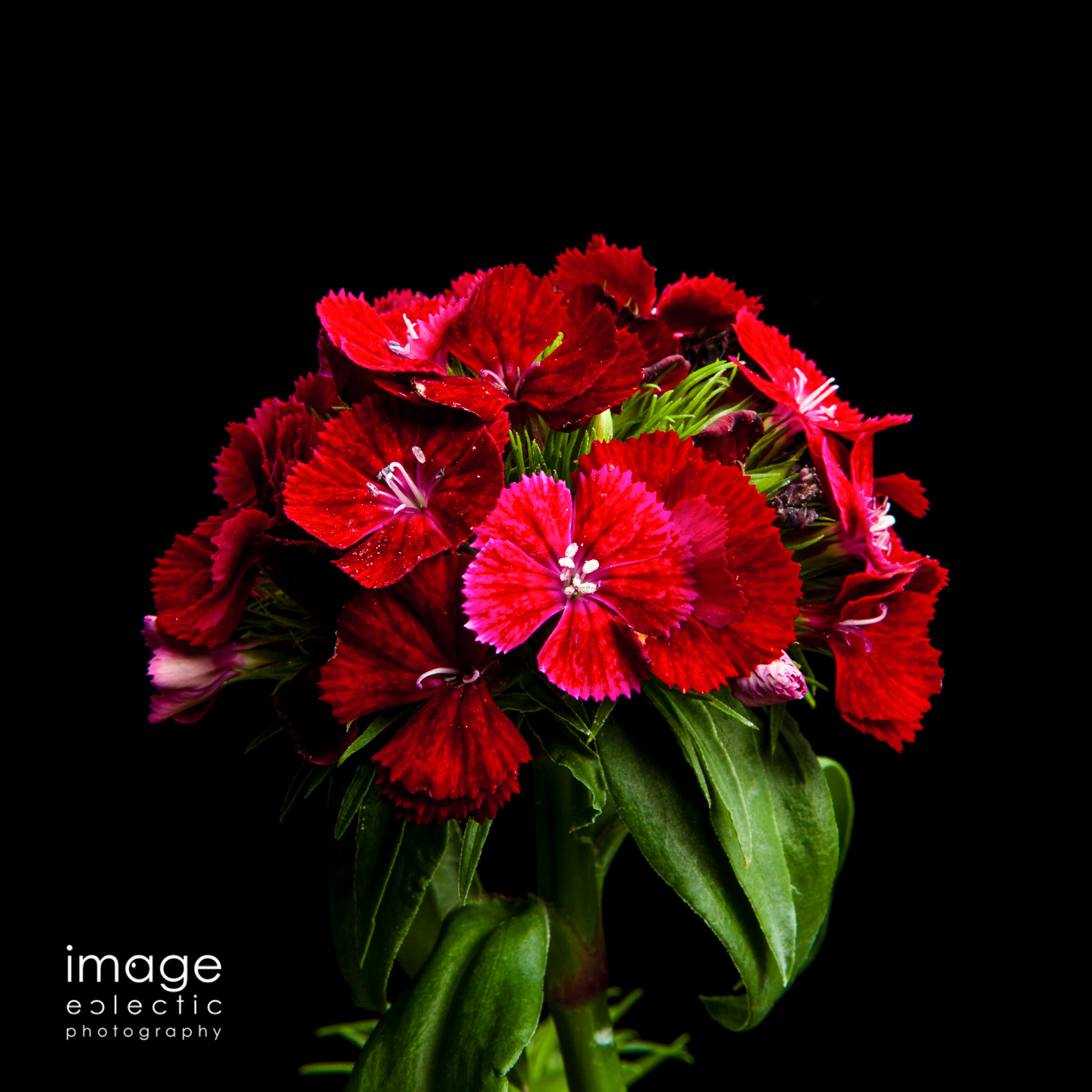 Flower Ball