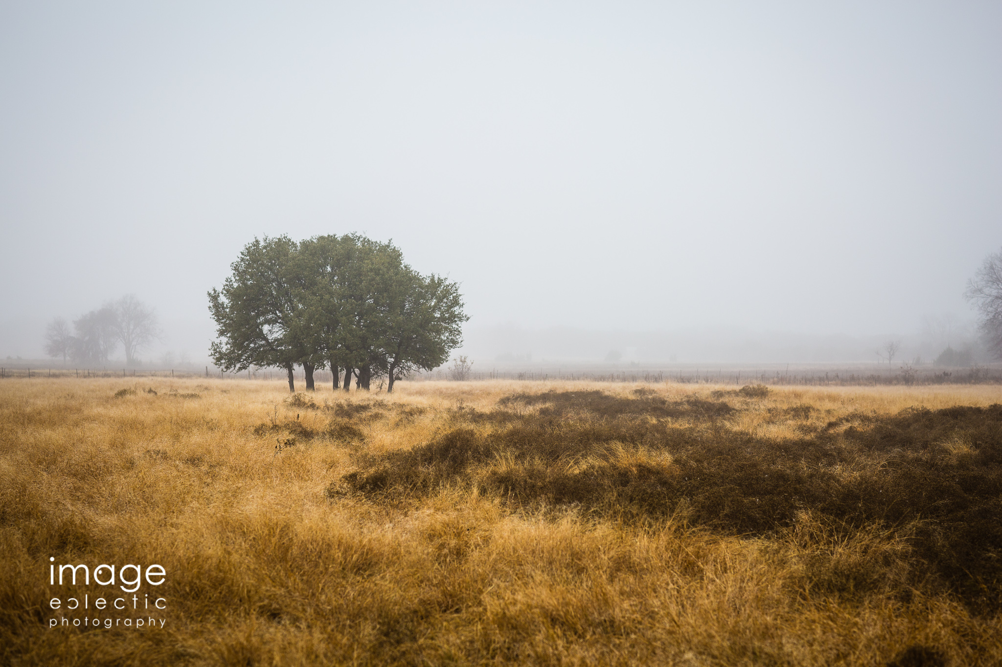 Foggy Day