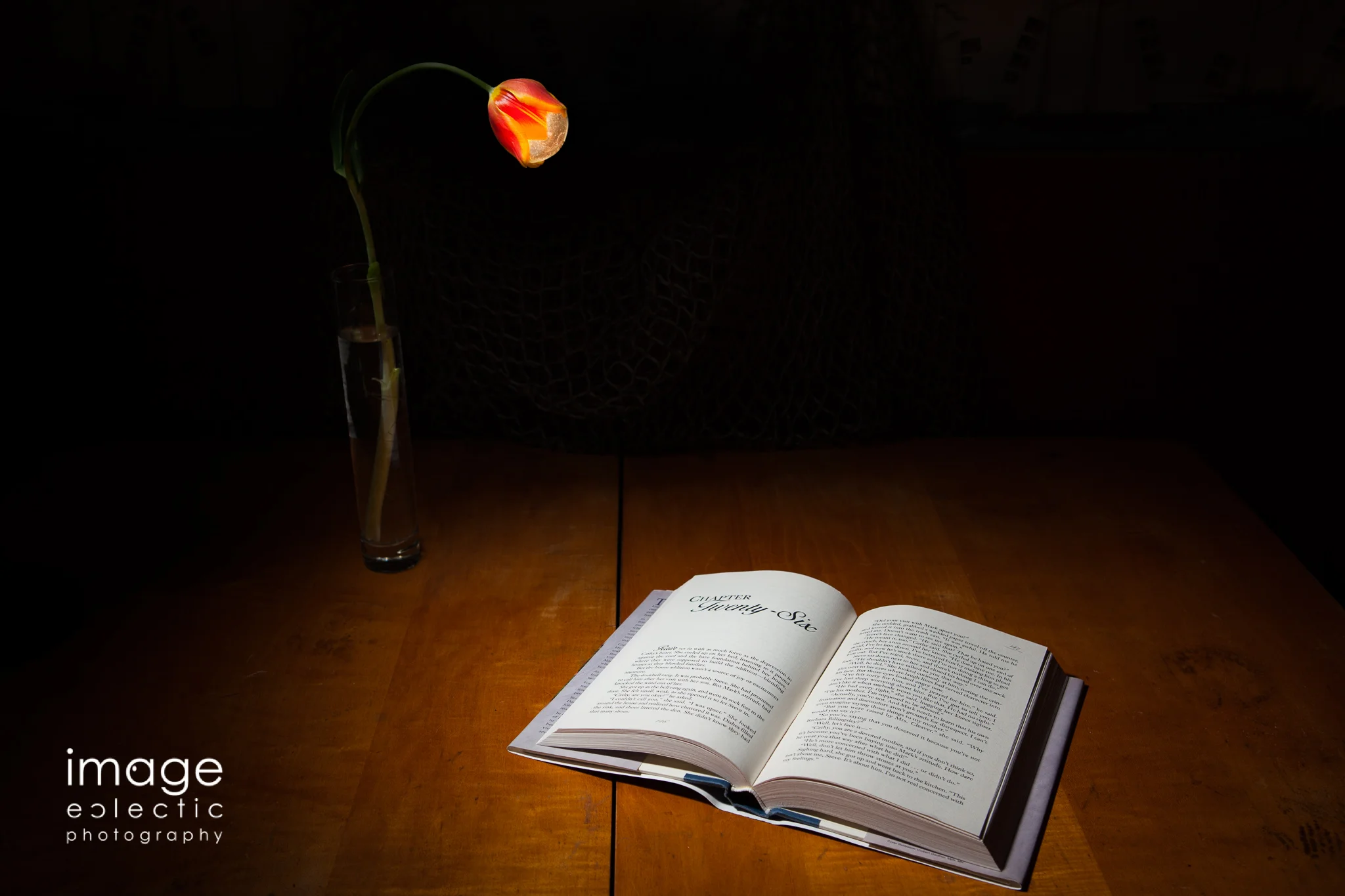 By the Light of a Tulip