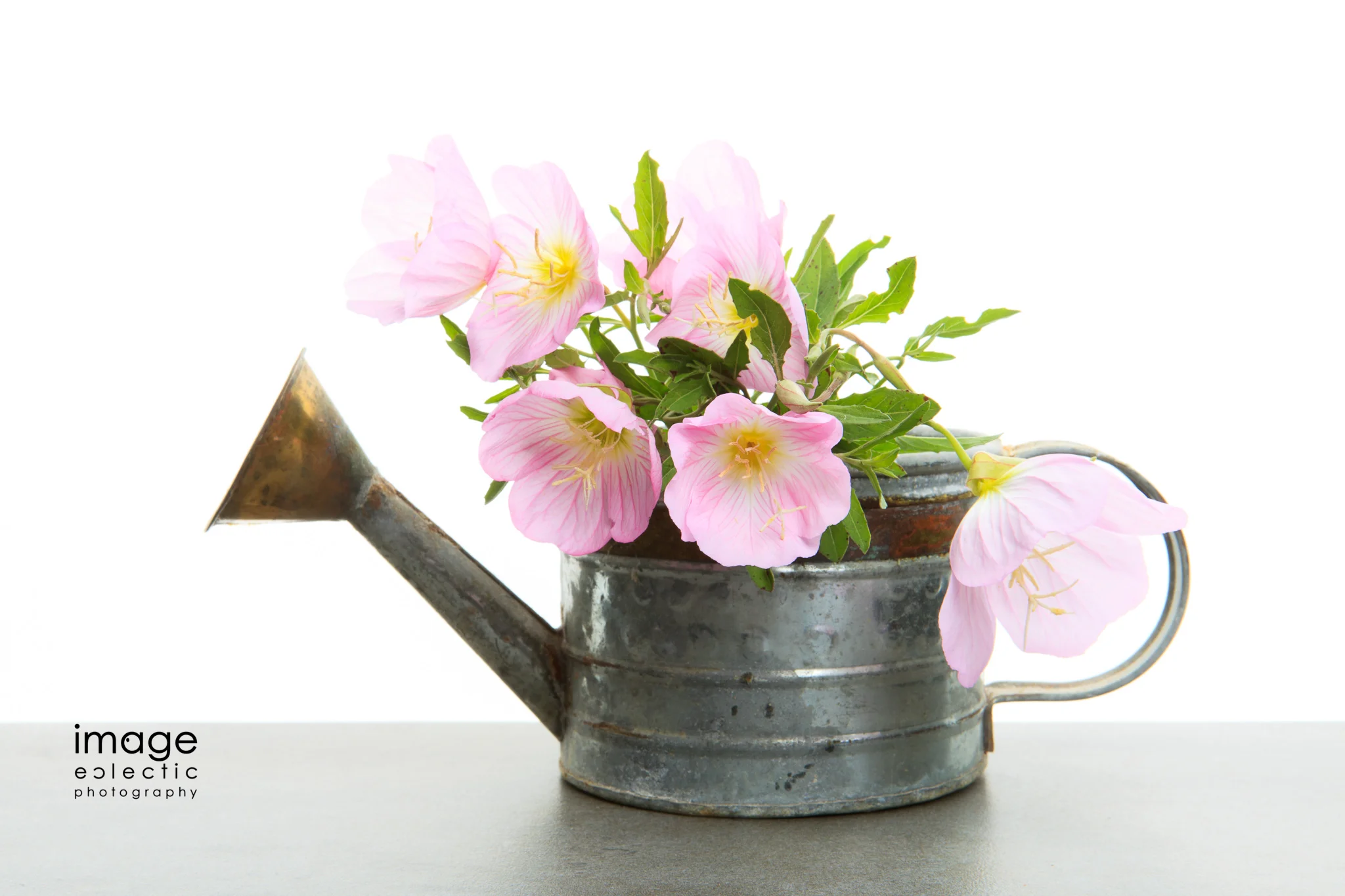 Watering Can & Glories