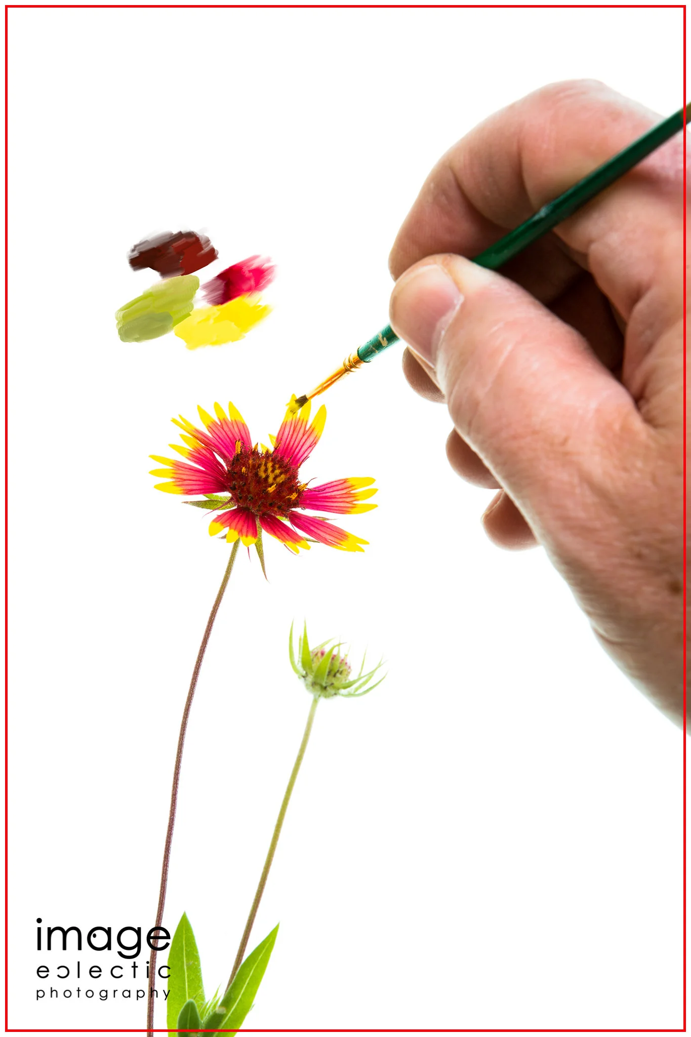 Painting a Flower