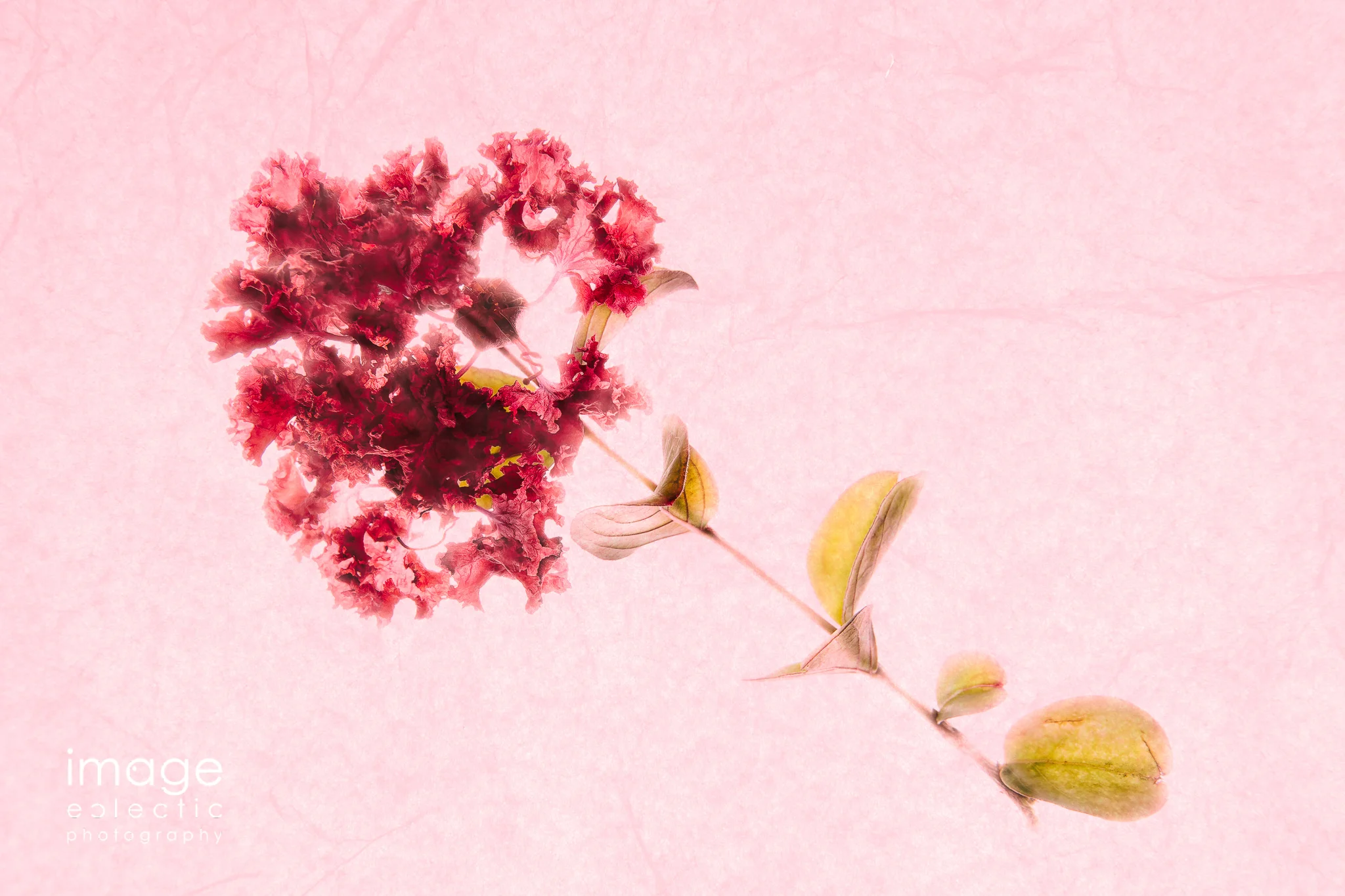 Pretty in Pink