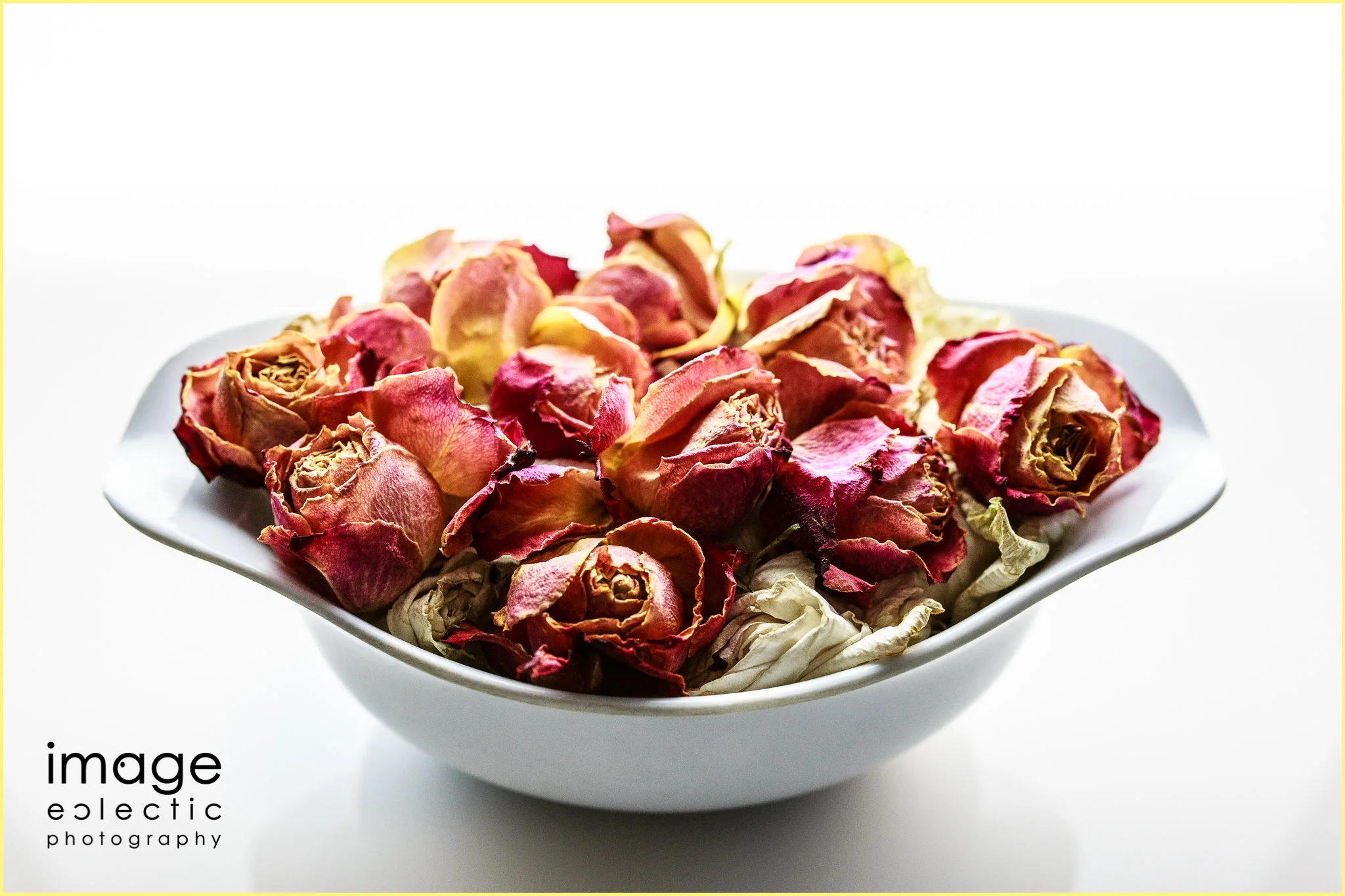 Bowl of Roses