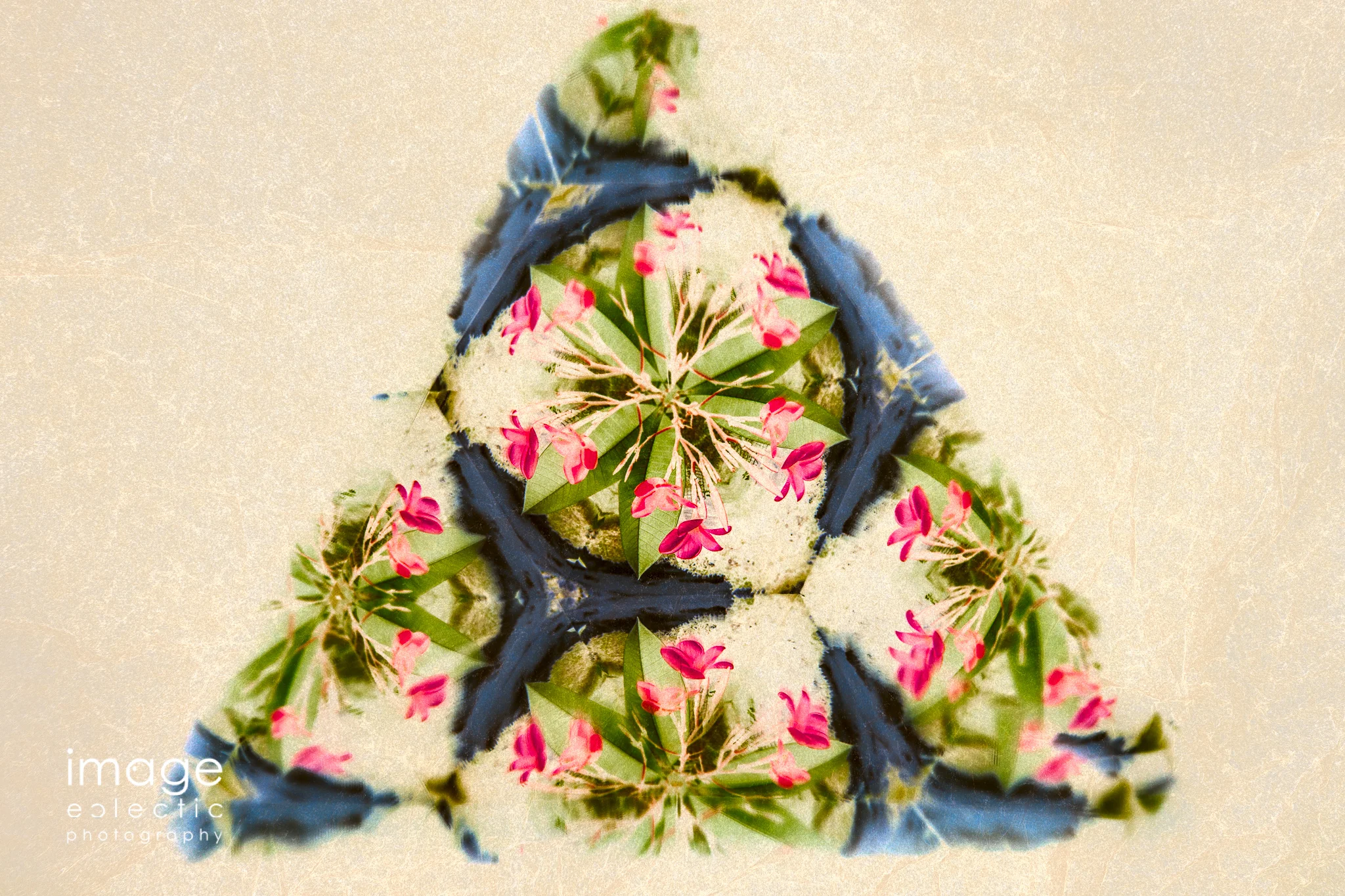 Flower Abstract