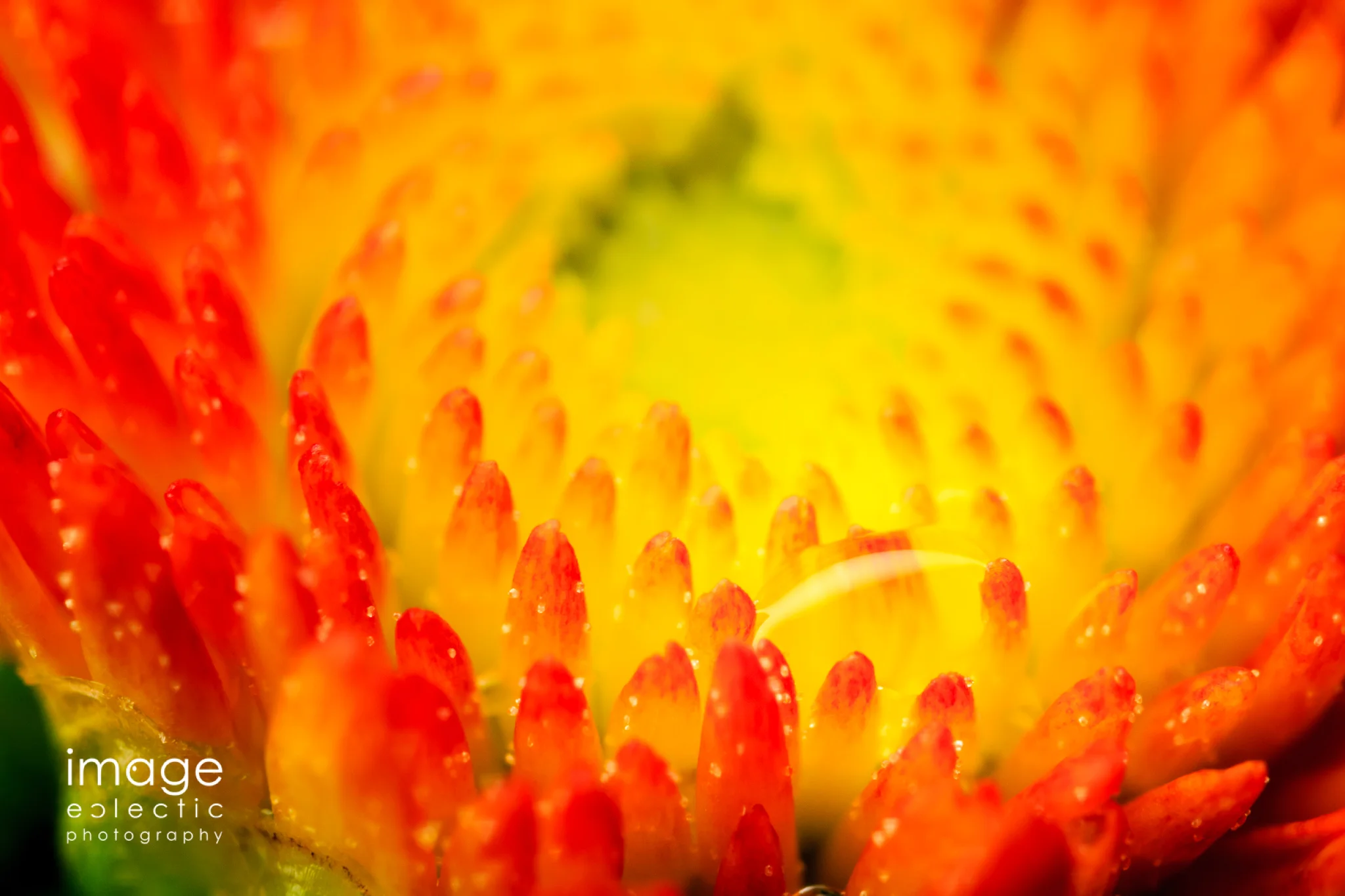 Rainy Day Mum
