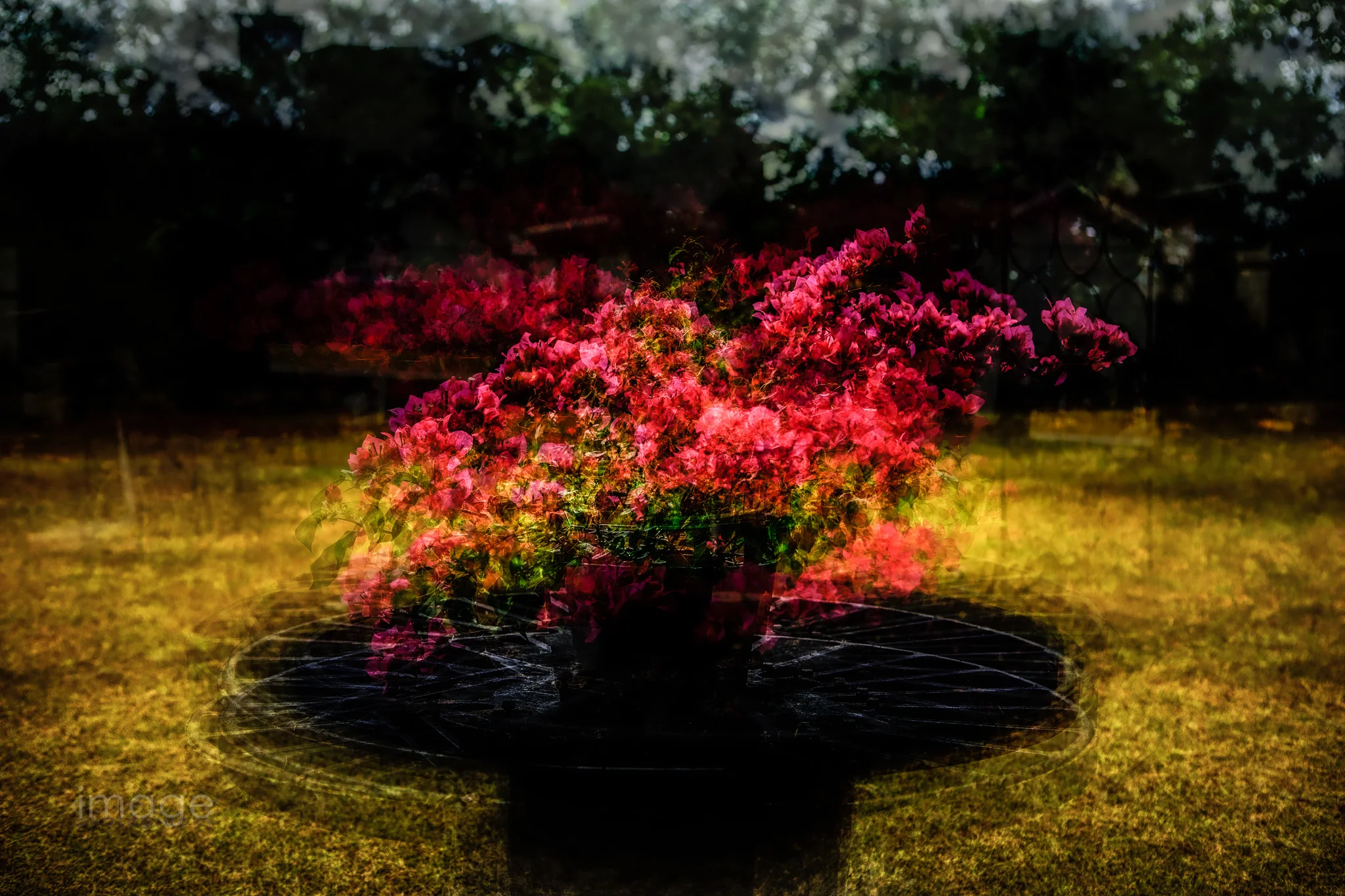 Fire in the Yard