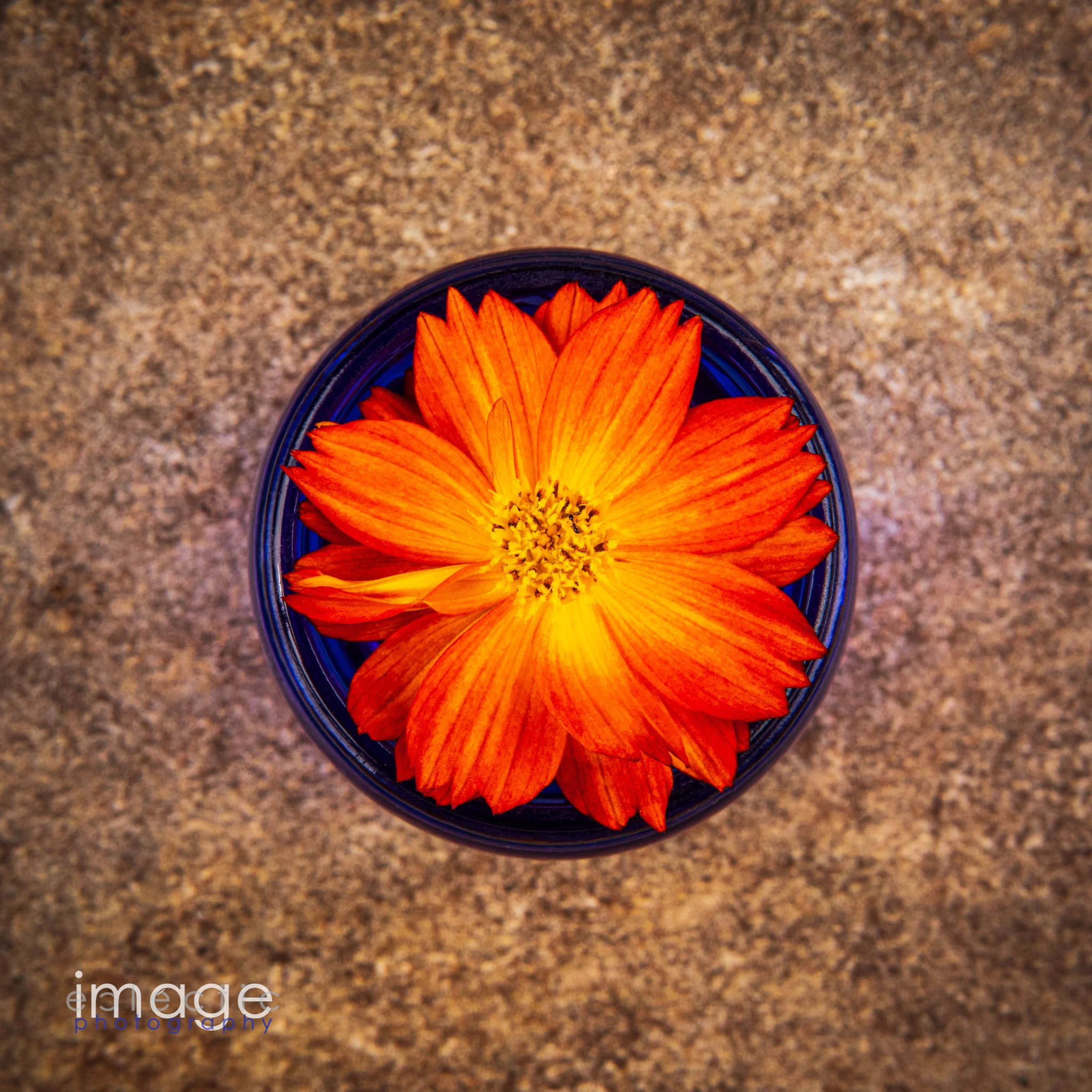Orange in Blue