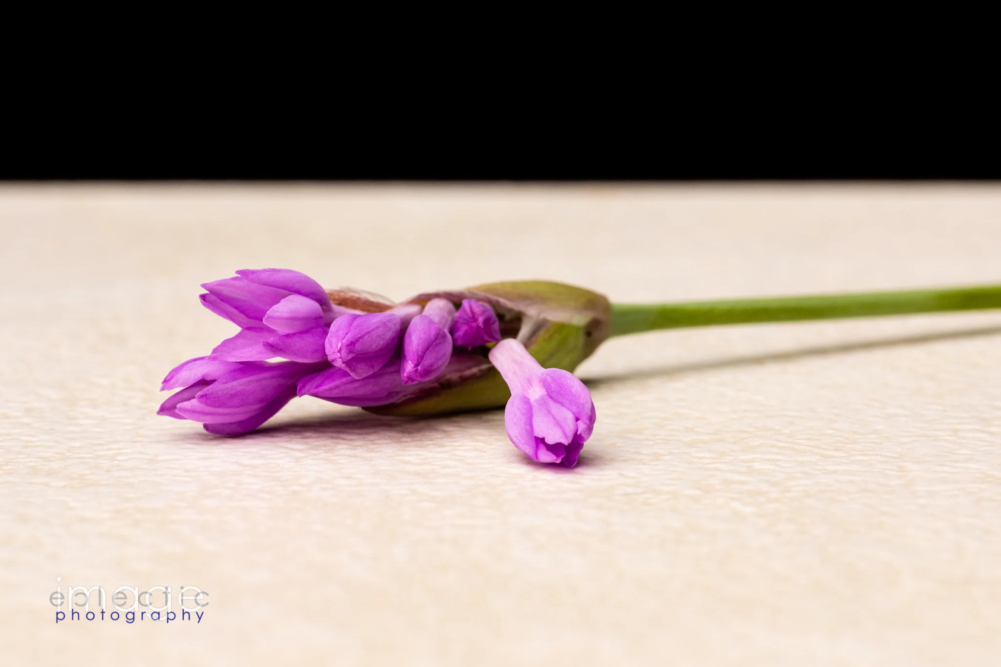 Just Opened